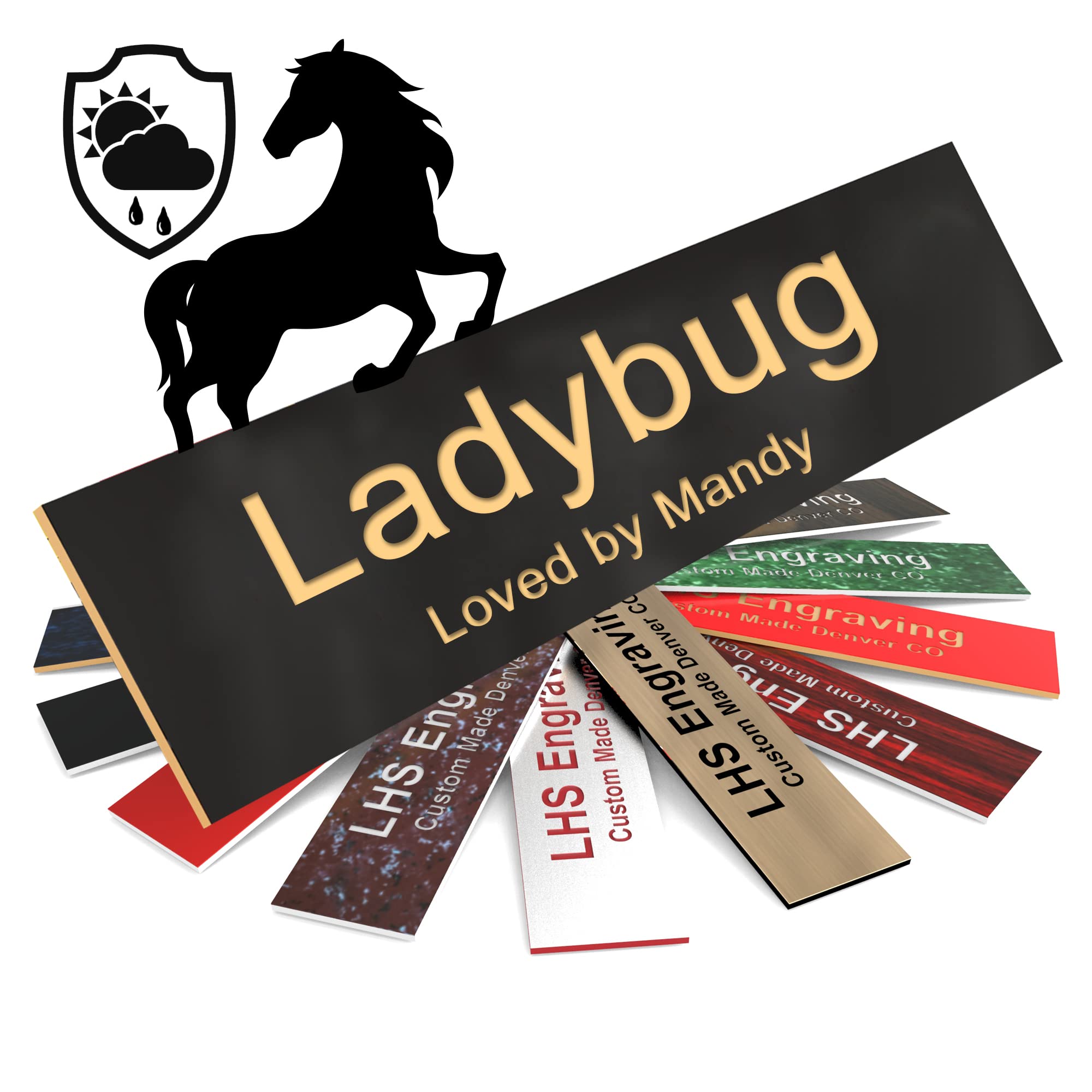 Lhs | Personalized Horse Stall Name Plates, 2X12 Horse Stall Signs With Adhesive, All Weather Uv Protected, Black Plastic Gold L