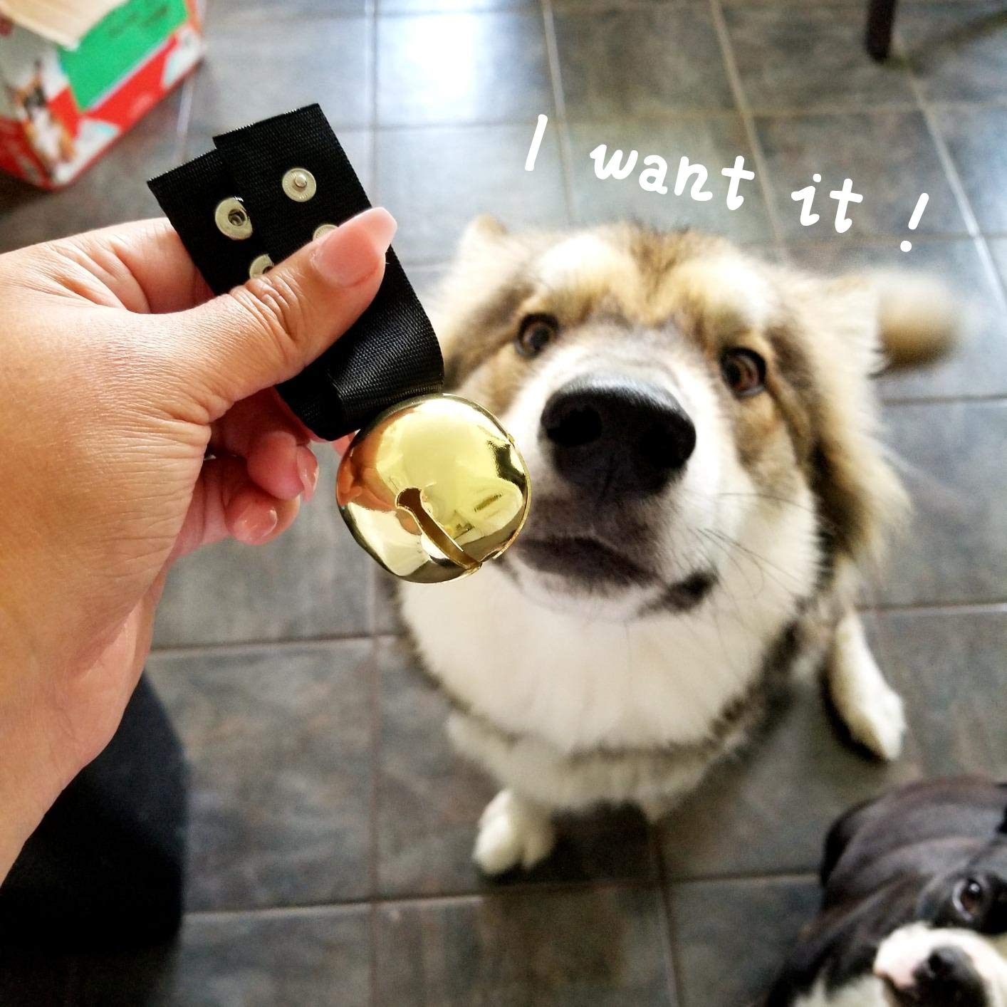 SCENEREAL Large Dog Collar Bell - 1.5" Extra Loud Metal Dog Bell - Gold/Silver - 2 Pack for Training, Hiking, Walking, Hunting