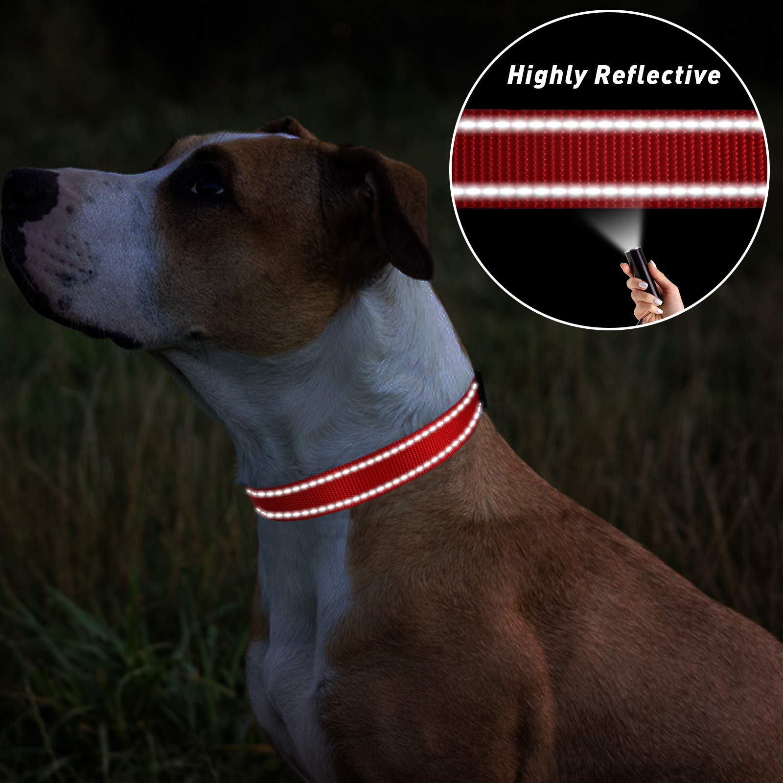 Tagme Reflective Nylon Dog Collars, Adjustable Classic Dog Collar With Quick Release Buckle For Large Dogs, Red, 1.0' Width