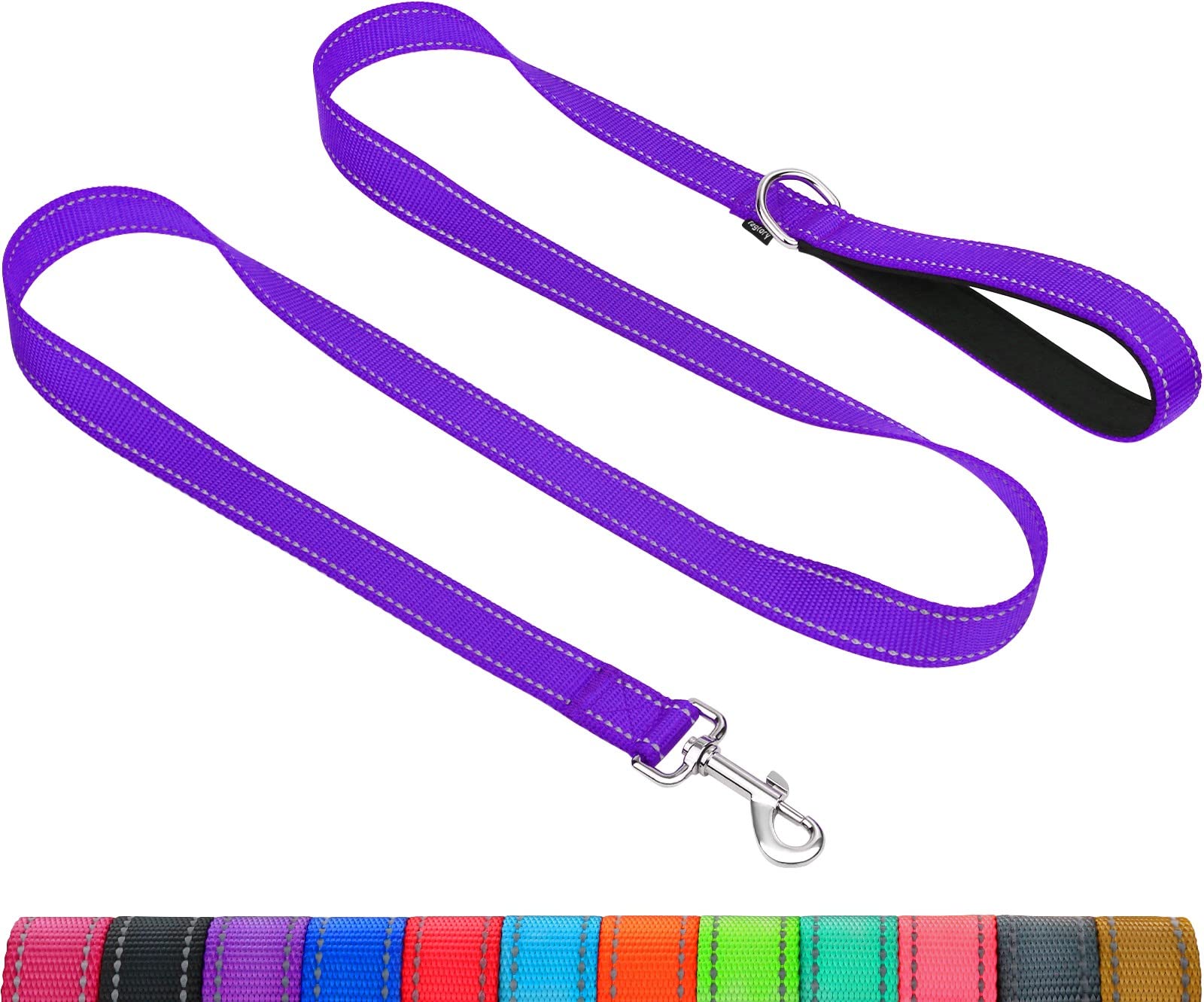 Taglory Double-Sided Reflective Heavy Duty Dog Leash 5Ft,Neoprene Padded Handle And Metal Hook Pet Training Leashes For Small Medium Large Dogs, Purple