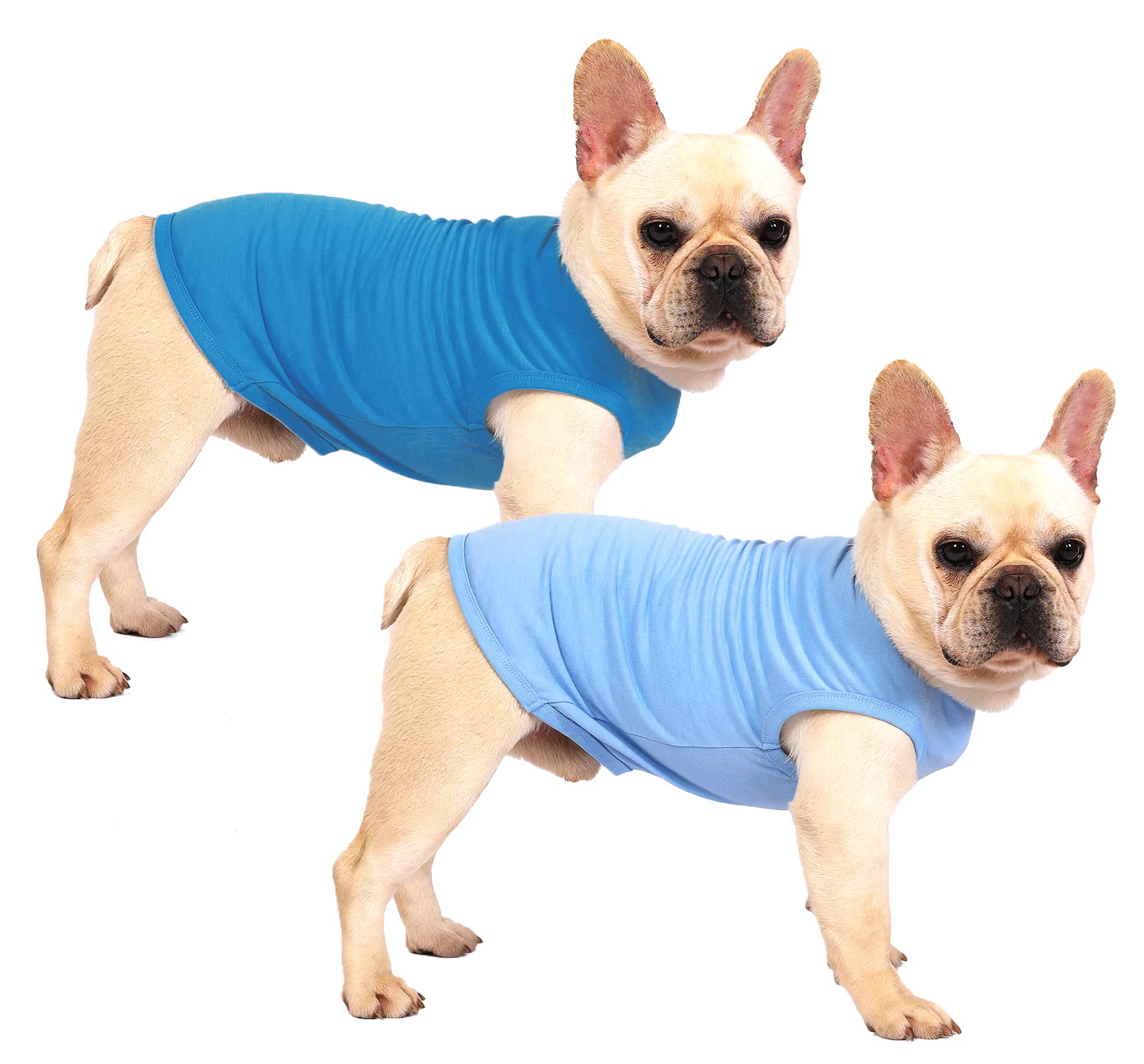 Sychien Dog Blank Blue Shirt,Boy Girl Dogs Medium Tee Shirts,Plain French Bulldog T-Shirt,M Blue Royal