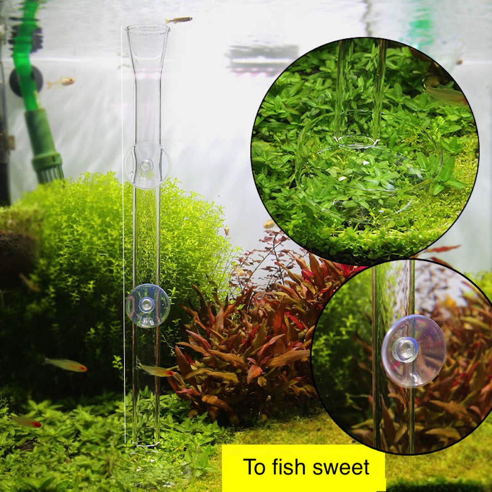 Shrimp Feeding Tube and Dish,2 Cup Clear Crystal Glass Fish Tank Shrimp Feeder Tube Tray