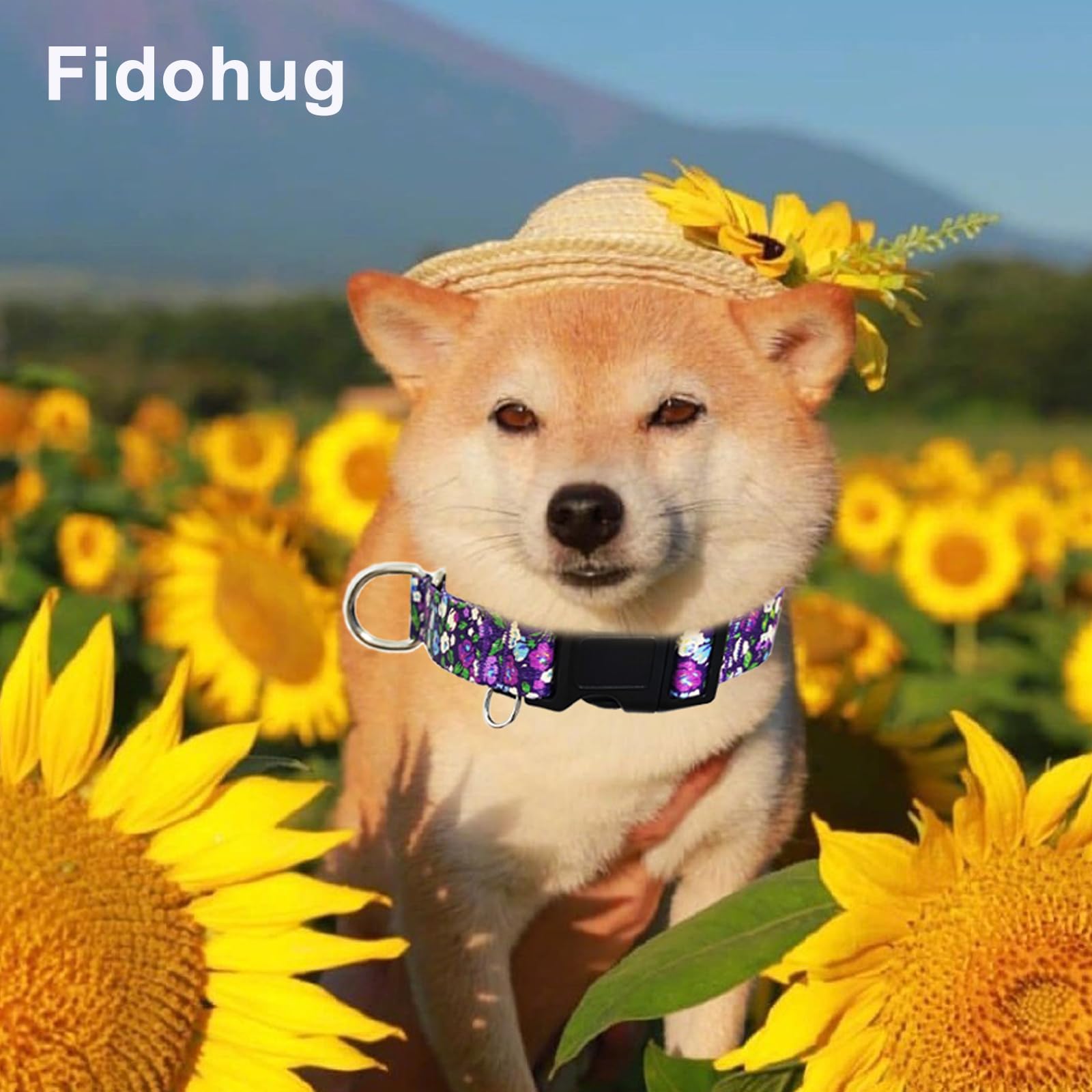 Fidohug Martingale Collar For Dogs With Buckle Adjustable Nylon Slip No Pull Anti Escape Training Dog Collars (Purple Floral, La