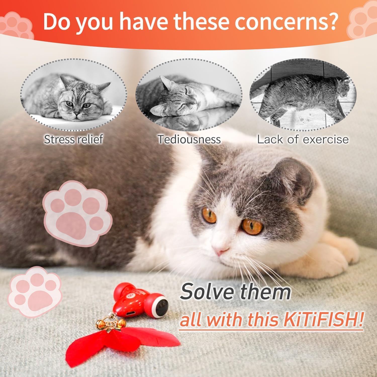 Duasdne Interactive Cat Toys The Kitifish Rechargeable Automatic Cat Toy For Indoor Cats With Feather And Bell Fast Rolling On H