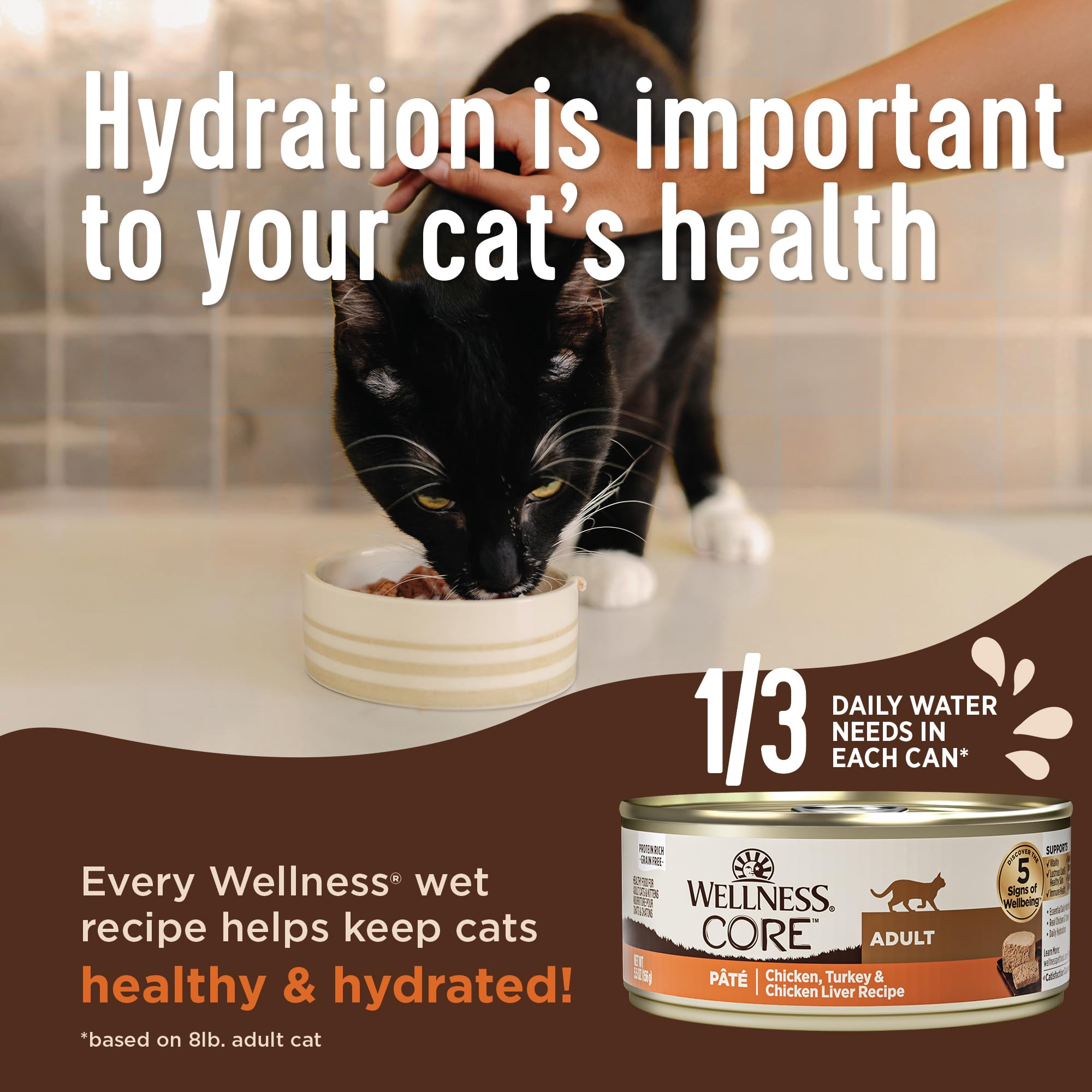 Wellness CORE Grain-Free Wet Cat Food, Natural Canned Food for Cats, Made with Real Meat (Whitefish, Salmon & Herring, 5.5 oz Ca
