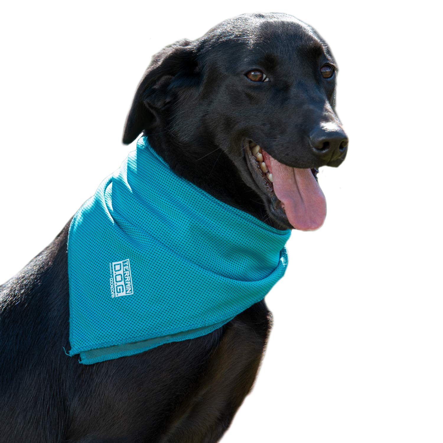 Terrain Dog Cooling Bandana - Cooling Fabric Powered By Coolcore Technology - Machine Washable Scarf To Keep Your Pet Cool