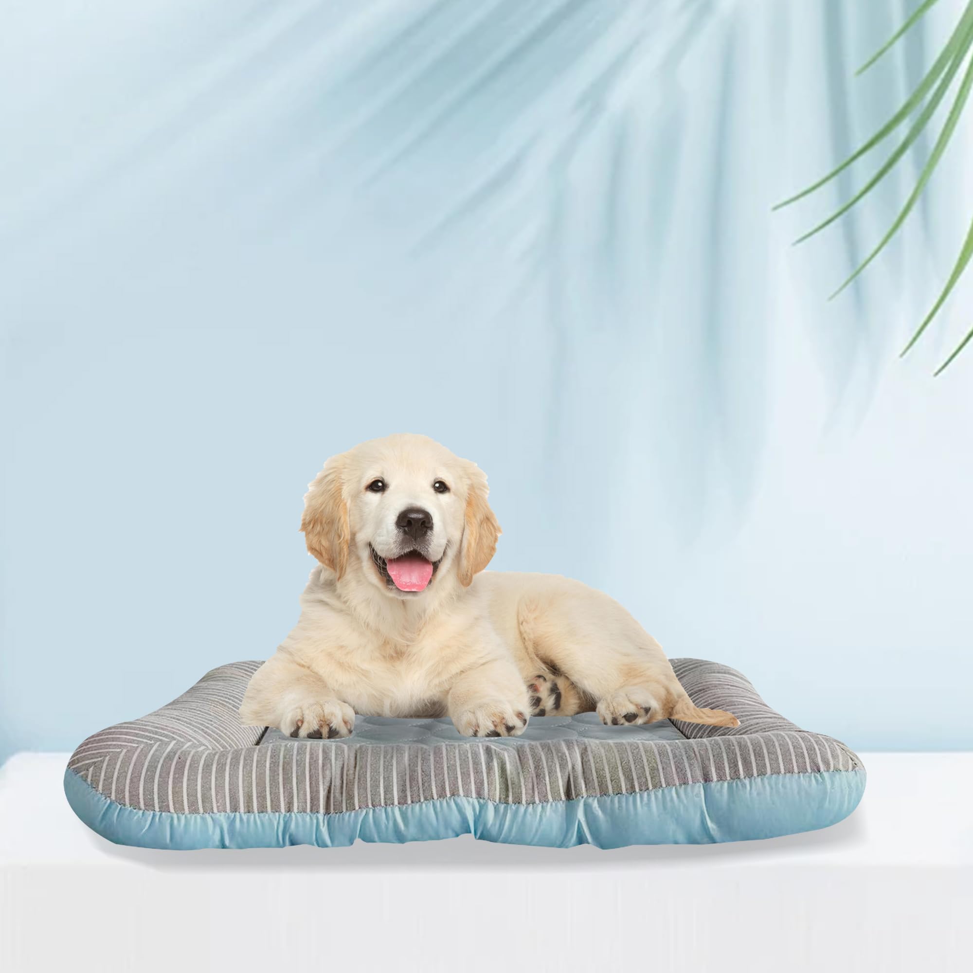 Rpgt Summer Pet Self Cooling Mat No Electricity Required Kennel Bed Pad 18''X 22'' Sleeping Mat Keeps Dogs And Cats Cool Ideal F