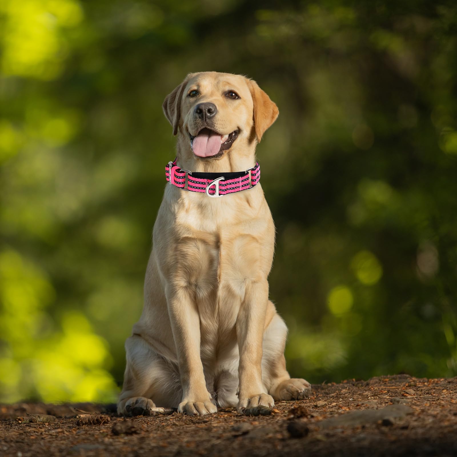 Onefojojo Martingale Dog Collars Reflective Nylon Dog Collar With No Buckle Adjustable Training No Slip Dog Collar (Large,Pink)