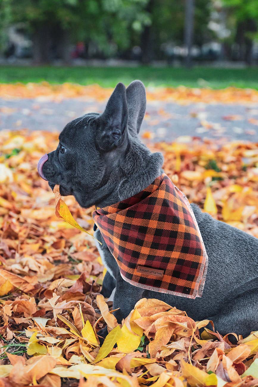Elegant Little Tail Dog Bandanas - 1Pack Washable Fall Scarf, Square Bib Kerchief, Adjustable Pet Bandana For Small Medium Dogs,