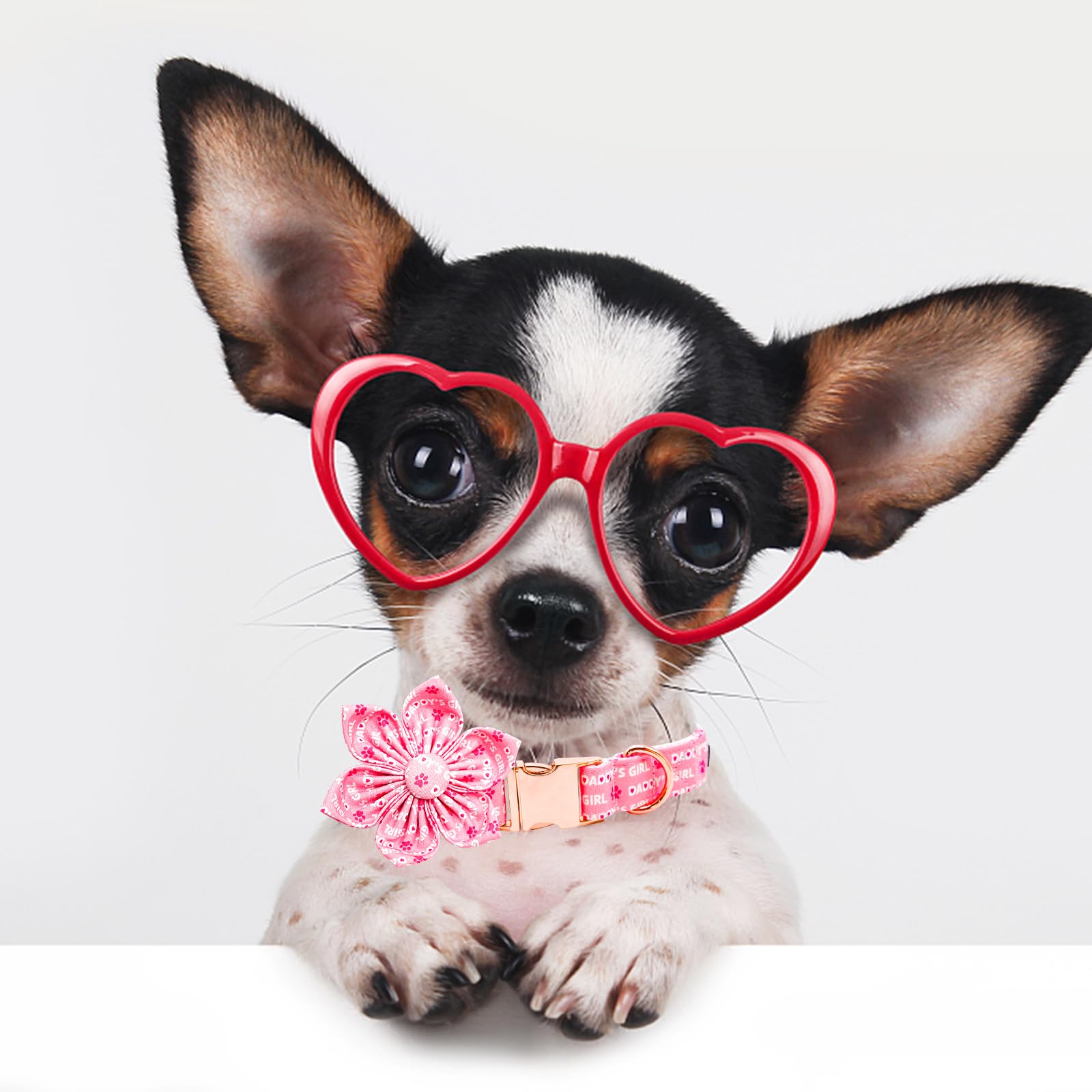 Lionheart Glory Valentine'S Day Collar With Flower Bowtie For Small Dogs, Pink Collar With Spring Flowers