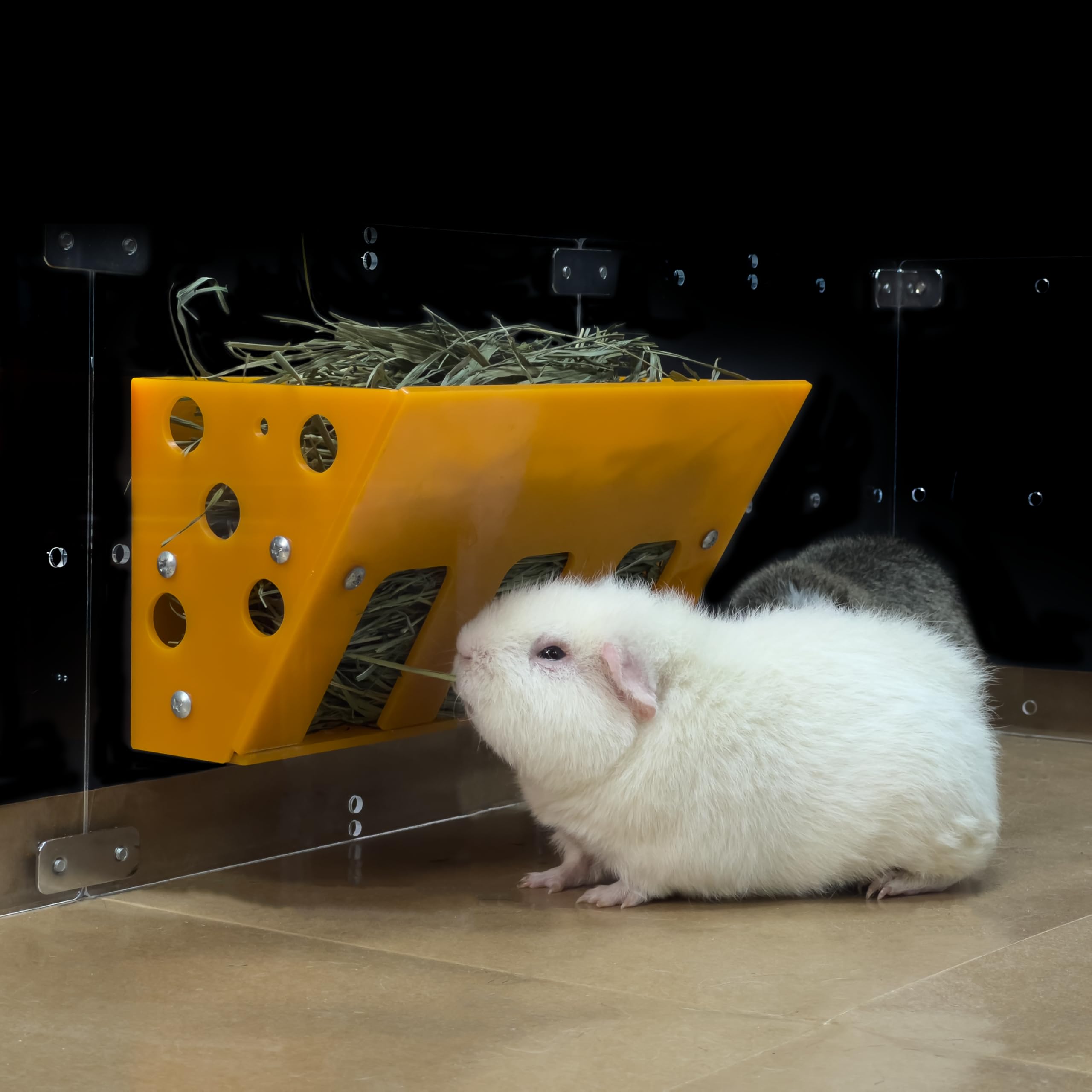 GuineaLoft Hay Feeder (Yellow) - Ultimate Hay Feeder for Small Pets Like Guinea Pigs, Rabbits & Chinchillas. Designed & Made by 