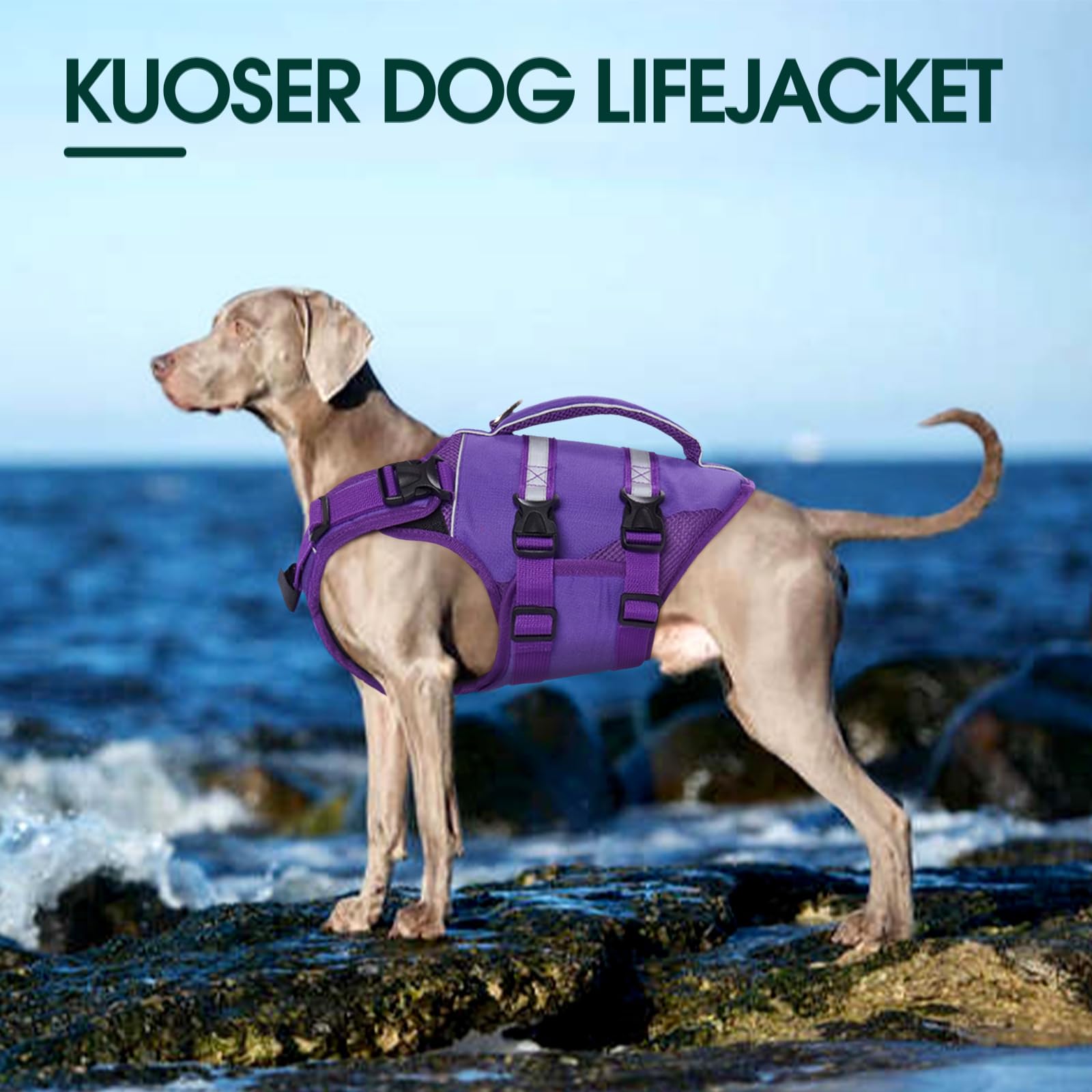 Kuoser Dog Life Jacket - High Flotation Vest for Swimming, Large Size, Purple, Durable Ripstop Oxford & Nylon, Reflective Safety Handle