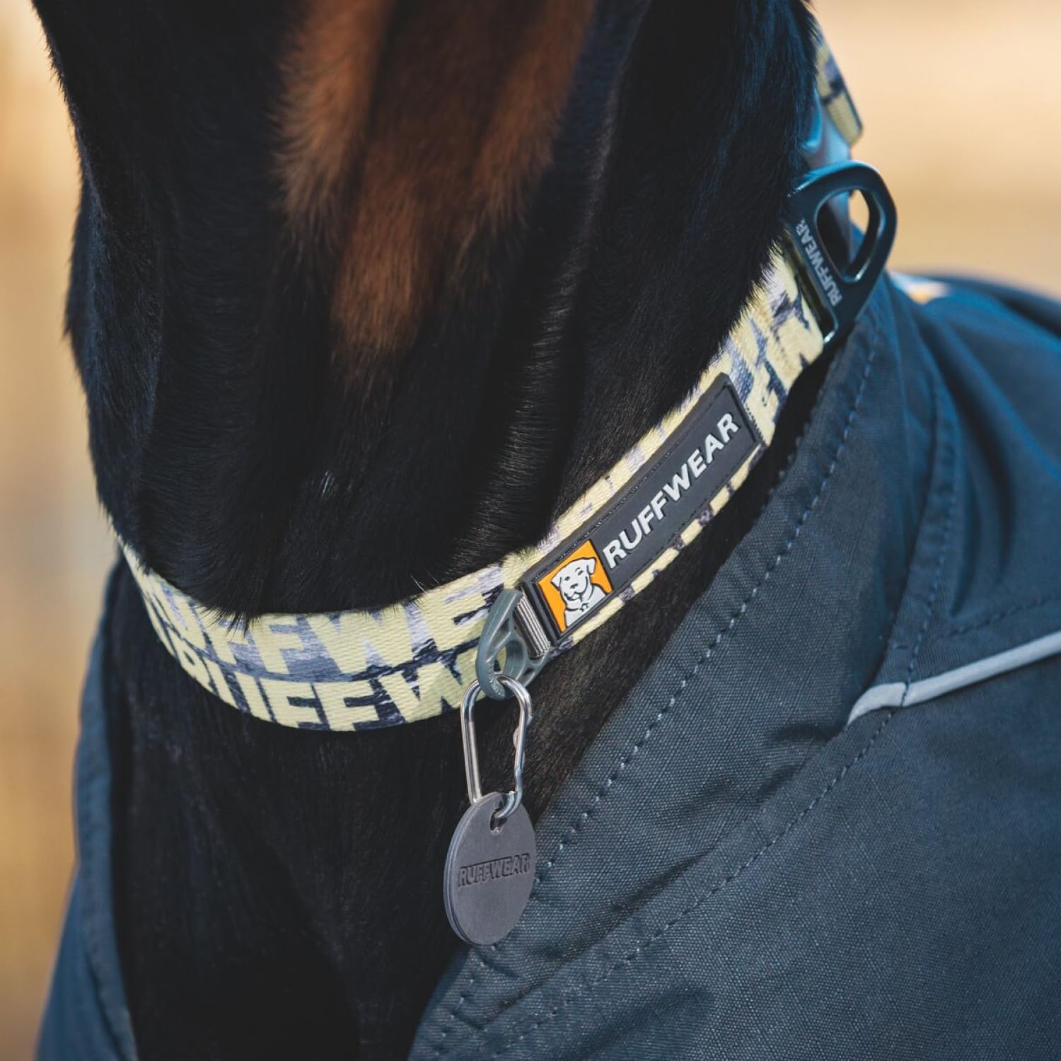 Ruffwear, Front Range Dog Collar, Durable And Comfortable Collar For Everyday Use, Mountains Logo, 20''-26''