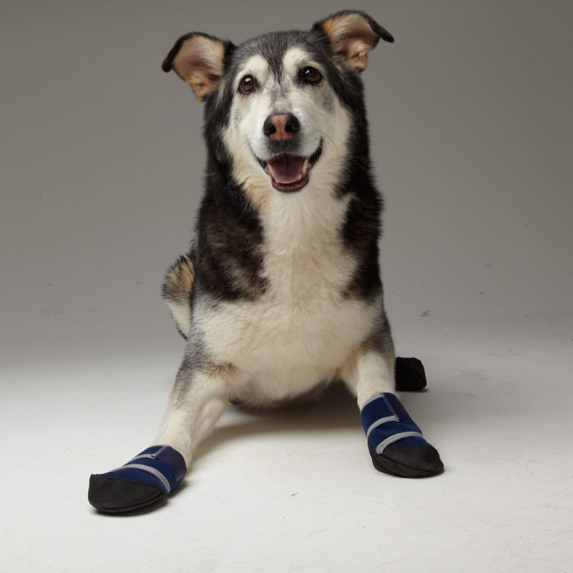 Healers Medical Dog Boots And Bandages, X-Large