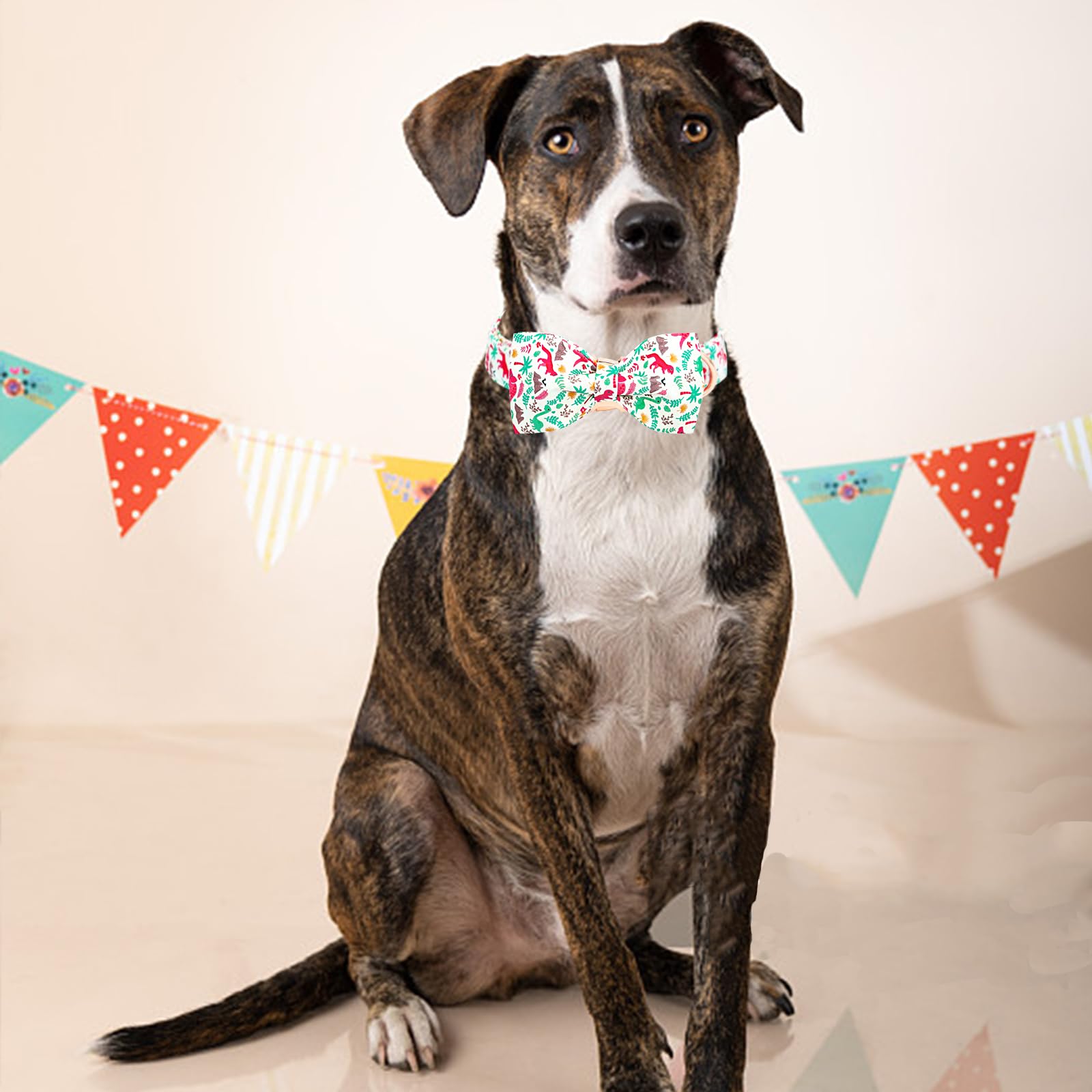 Lionheart Glory Dog Collar, Cute Dog Bow Collar Boy Girl Dog Collars With Bow Adjustable Dinosaur Bowtie Collar For Small Dogs P