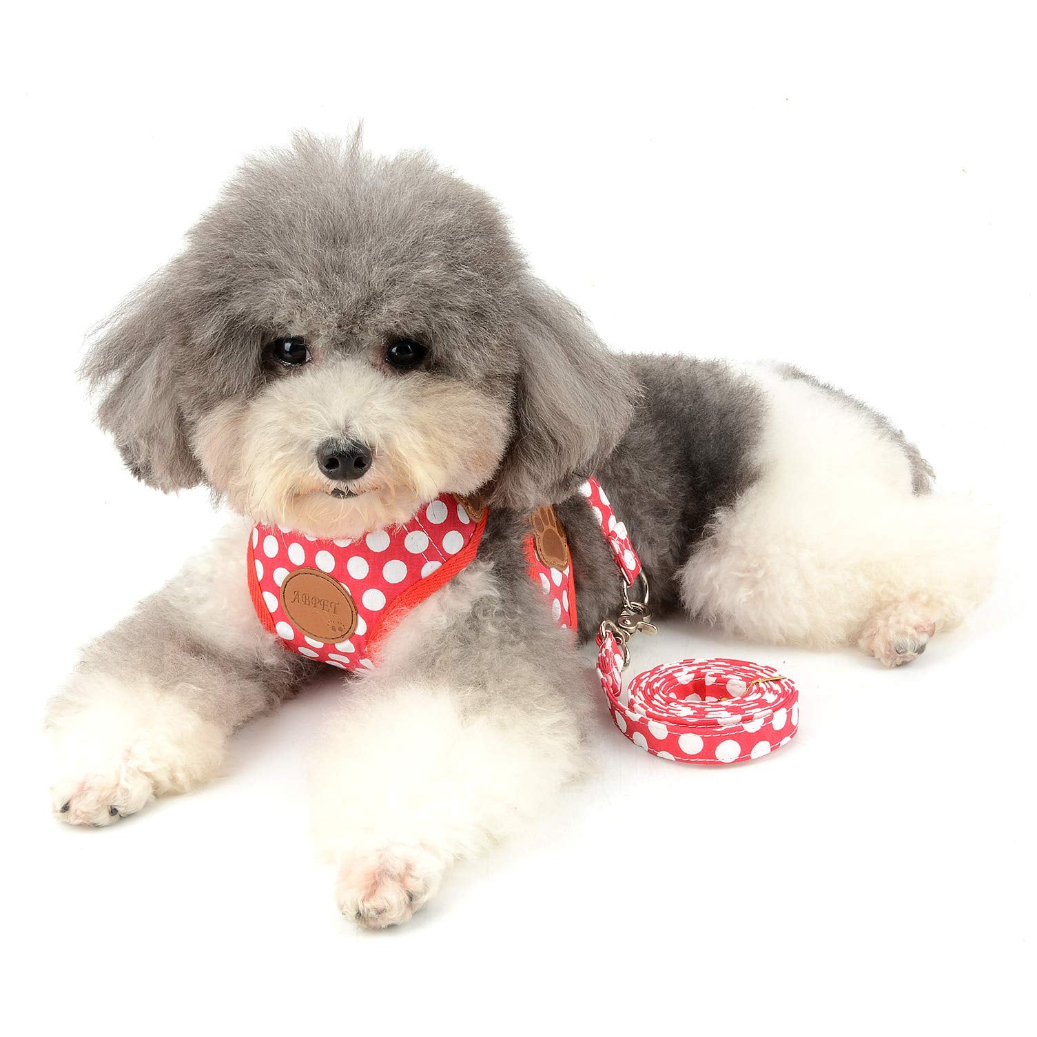 Smalllee_Lucky_Store Cwyp00068-Red-S New Soft Mesh Nylon Vest Pet Cat Small Medium Dog Harness Dog Leash Set Leads ,Red , S