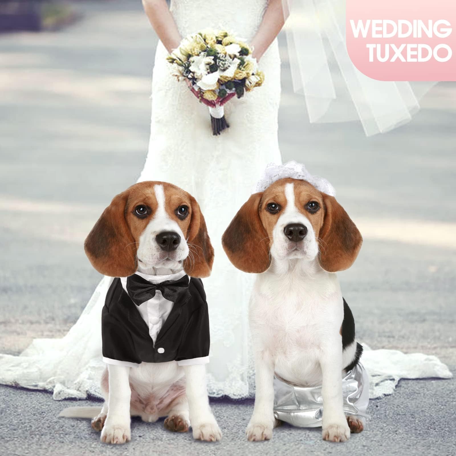 Kuoser Dog Tuxedo, Dog Wedding Suit With Bow Tie Formal Dog Tux Pet Wedding Party Birthday Costume, Dog Valentines Christmas Halloween Graduation Outfit Cosplay For Small Medium Large Dogs, Black M
