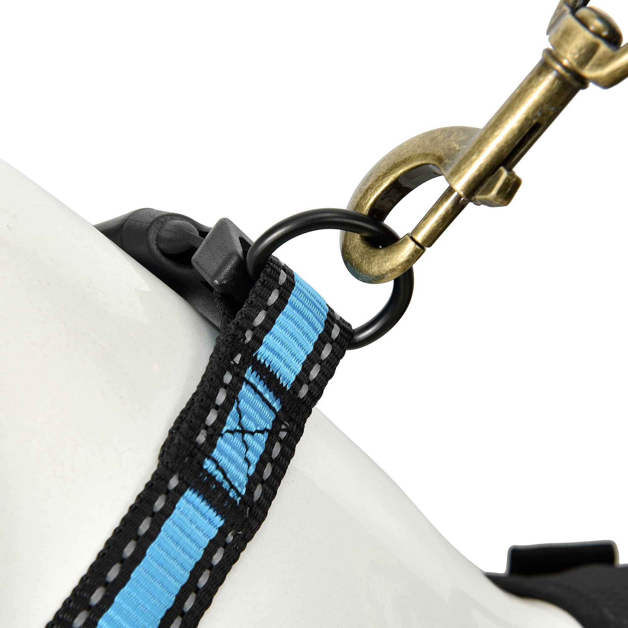 Mile High Life Dog Collar | Nylon Reflective Dog Collars | Light Weight Puppy Collars | Blue Dog Collars For Medium Dogs (Blue,