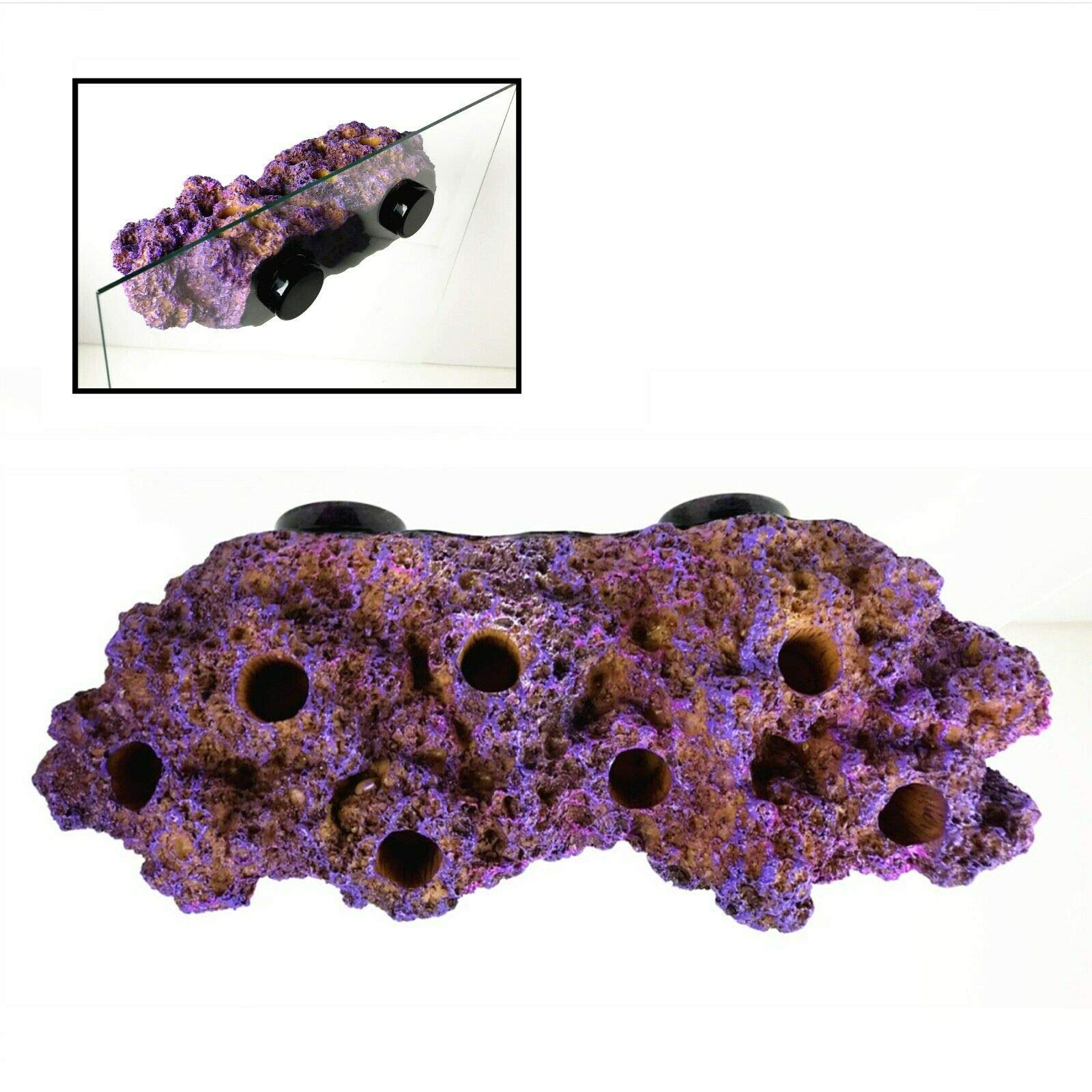 Magnetic Reef Coral Frag Rack Floating Rock Strong Magnets Strong N52 Magnets For 1/2'' Glass (Coralline Purple)