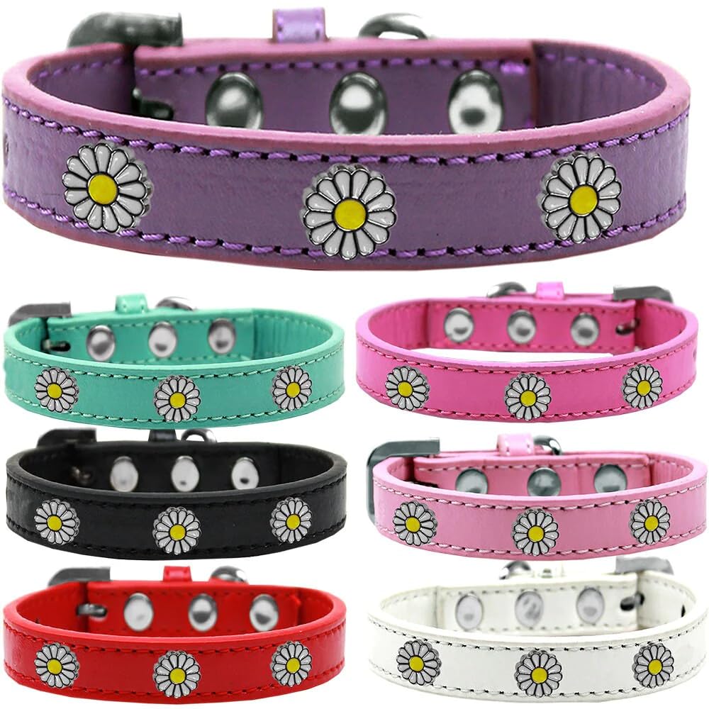 Dog, Puppy and Pet Widget Fashion Collar, "White Daisies" Aqua 18