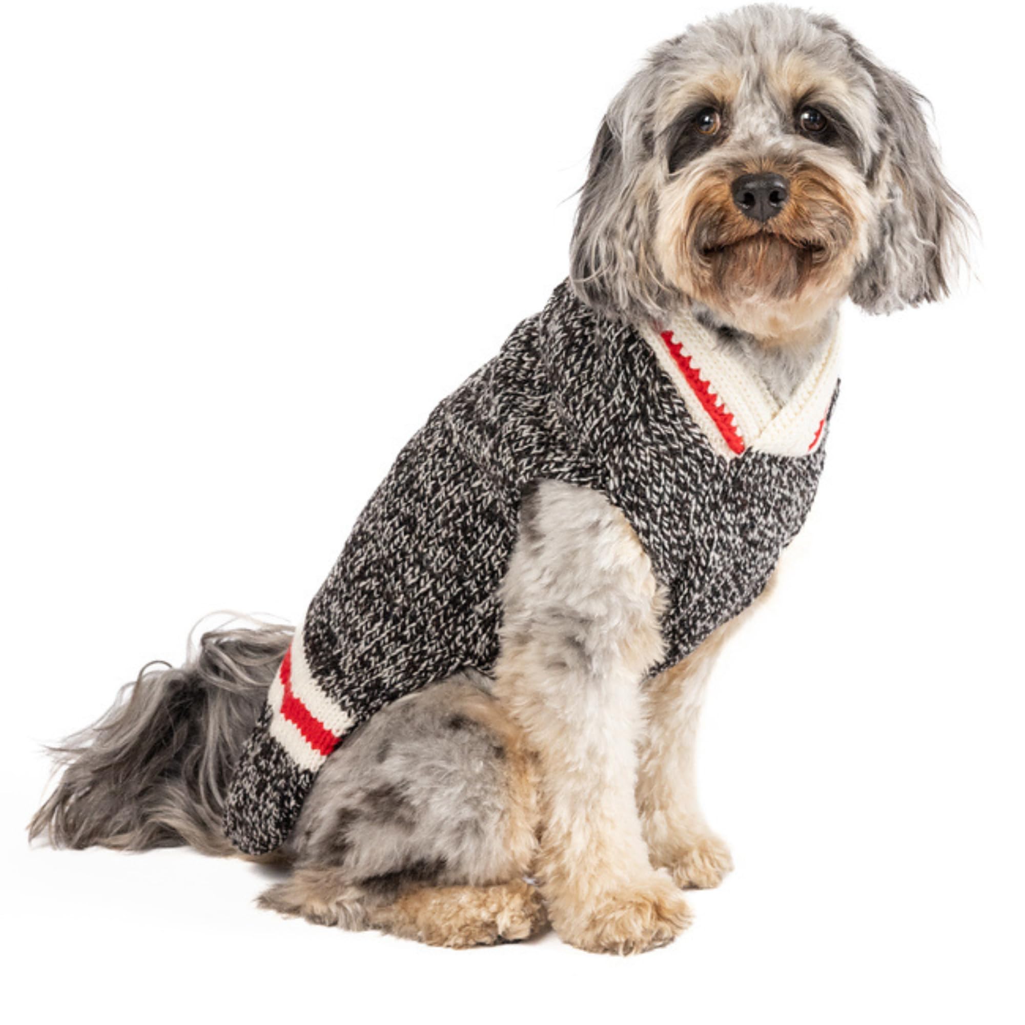 Boyfriend Dog Sweater (Small)