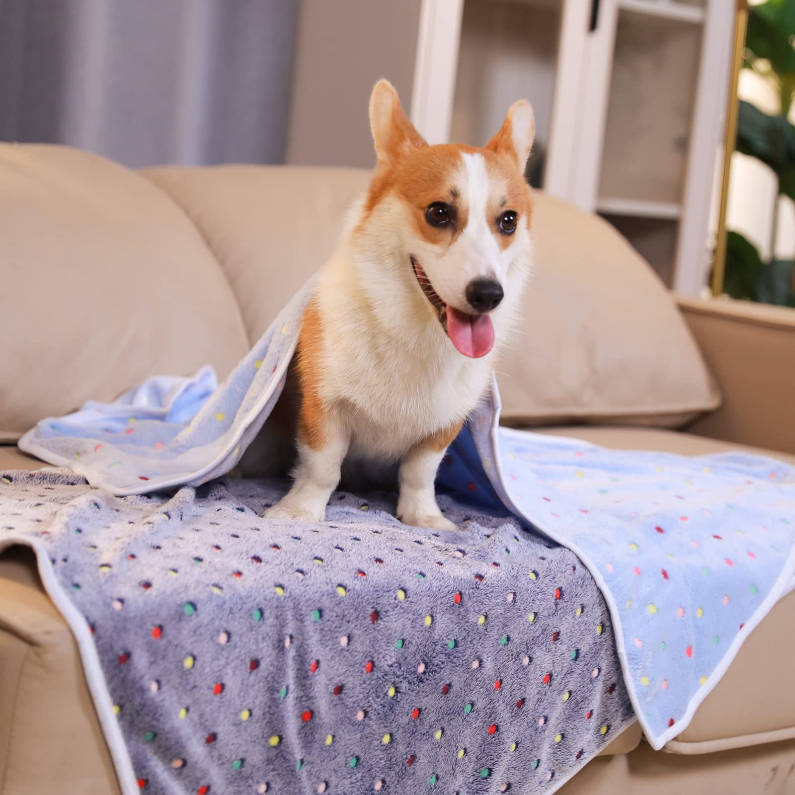 1 Pack 6 Blankets Dog Cat Soft Fluffy Fleece Pet Blanket Warm Cute Print Design Puppy Kitten Blanket Doggy Dot Large(41X31)