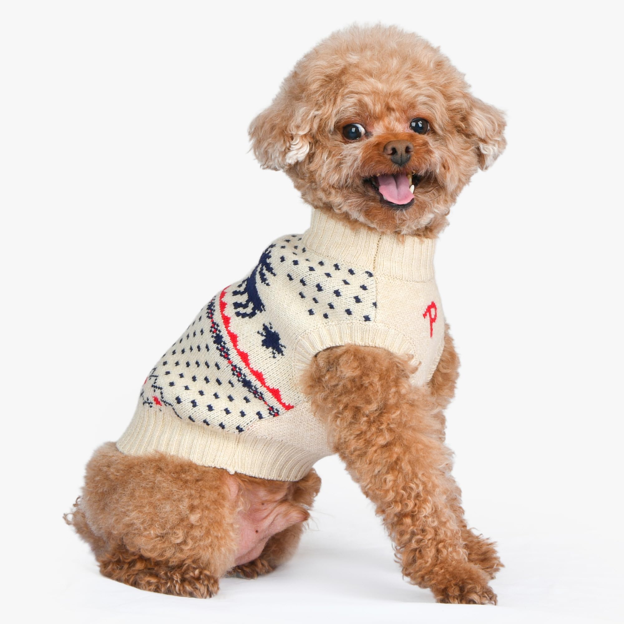 Puppia Dyani Dog Knit Sweater Winter Season For Small And Medium Dogs, Beige, Large