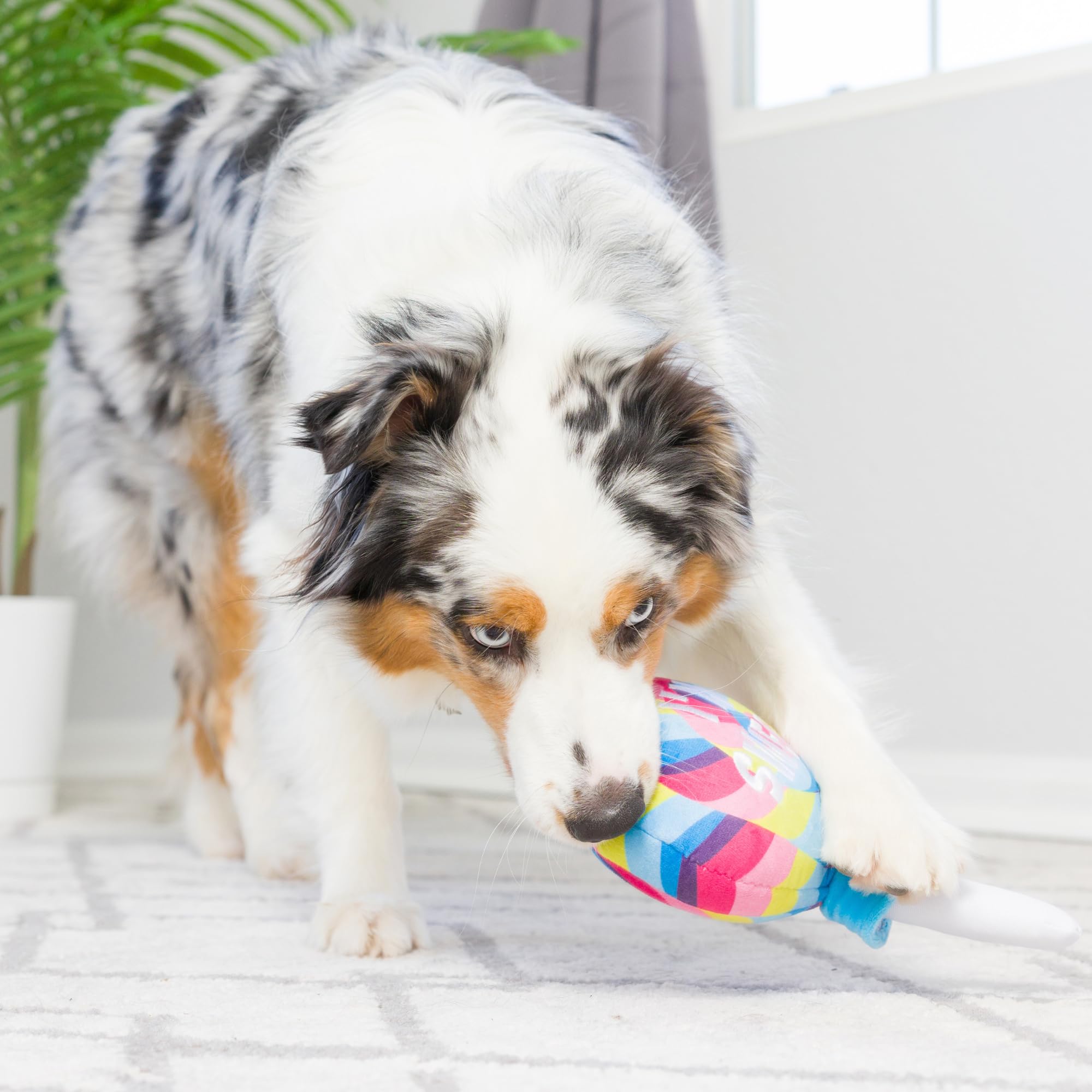 Huxley & Kent For Dogs - I'M Sweet Lollipop (Large) - Easter Spring - Power Plush Funny Dog Toy With Squeaker - Fun, Durable, An