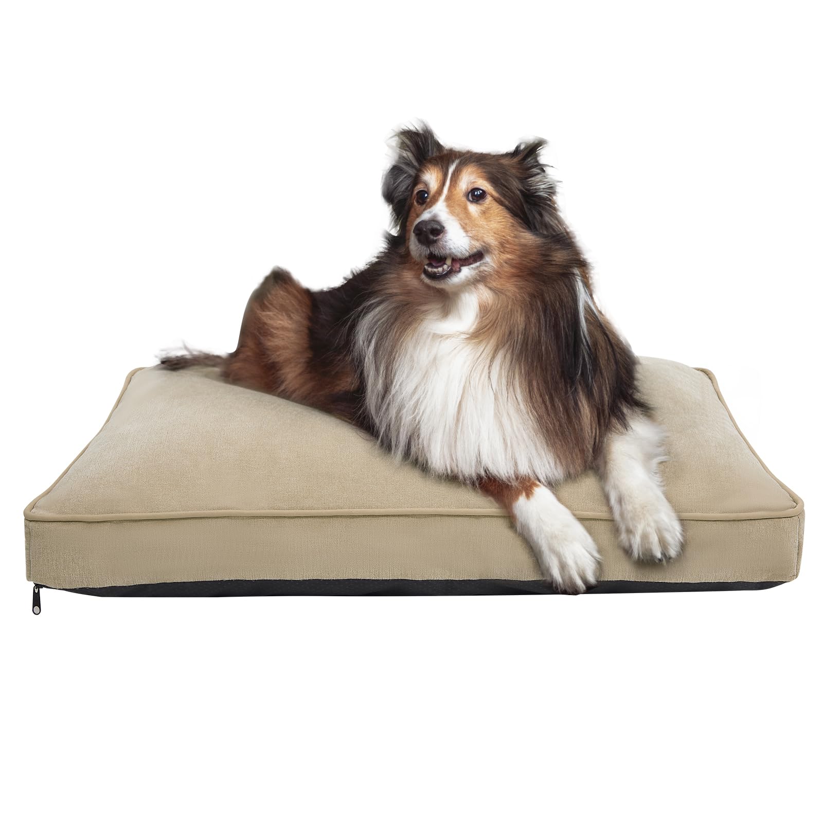 Canine Canyon Milo Dog Bed For Medium Dogs, Waterproof Dog Bed Pillows With Removable Washable Cover, Pet Sleeping Mattress, 30 