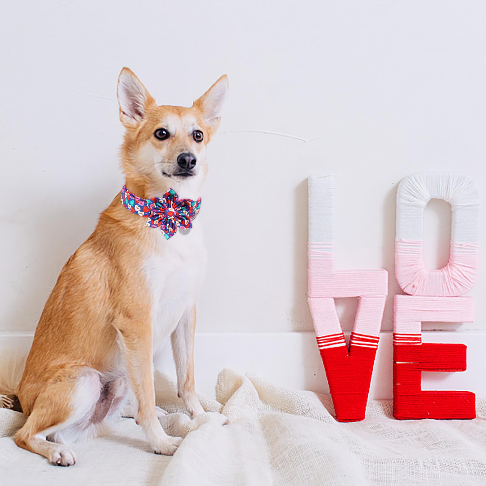 Dogwong Valentine'S Day Dog Collar With Flower, Blue Heart Bowtie, Adjustable Pink Heart Collar For Small Medium Dogs