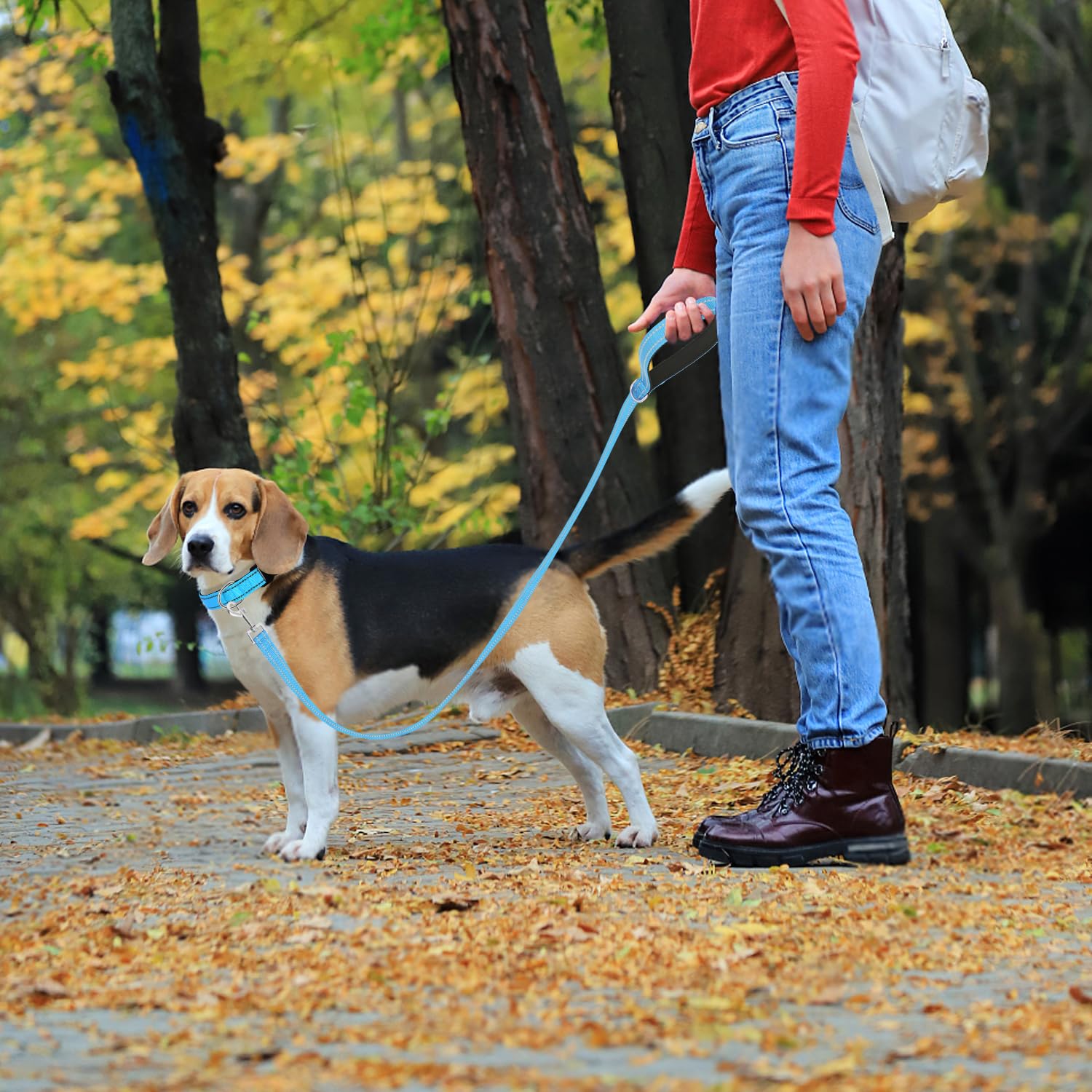Usunyvora Reflective Nylon Dog Leash For Walking,Strong Dog Leash With Padded Handle For Small And Medium Dogs,6 Ft,Sky Blue