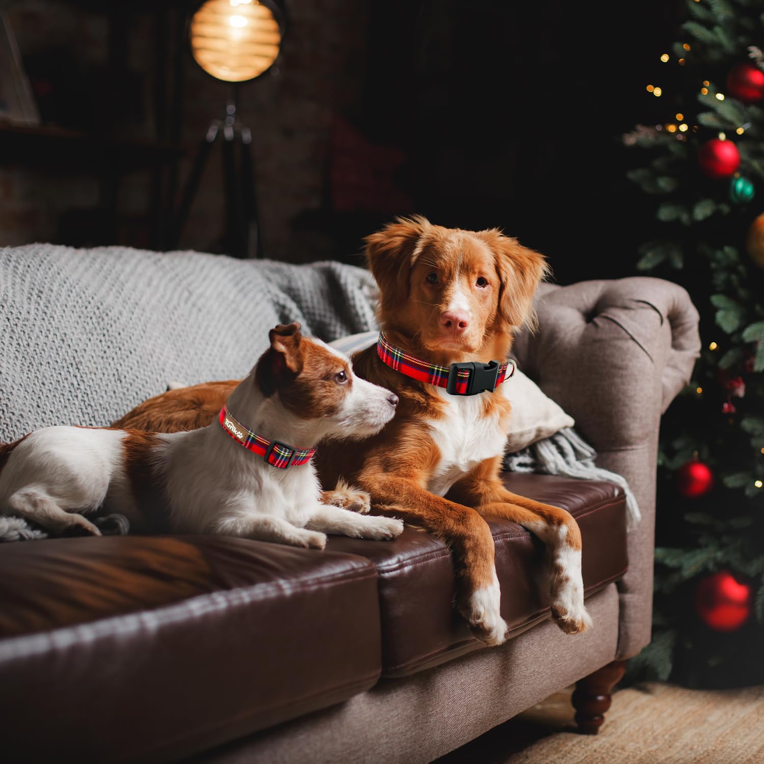 Tunkoo Christmas Plaid Dog Collar, Cute Adjustable Red Collar For Boy And Girl Dogs, Dog Collar With Strong Plastic Buckle - For