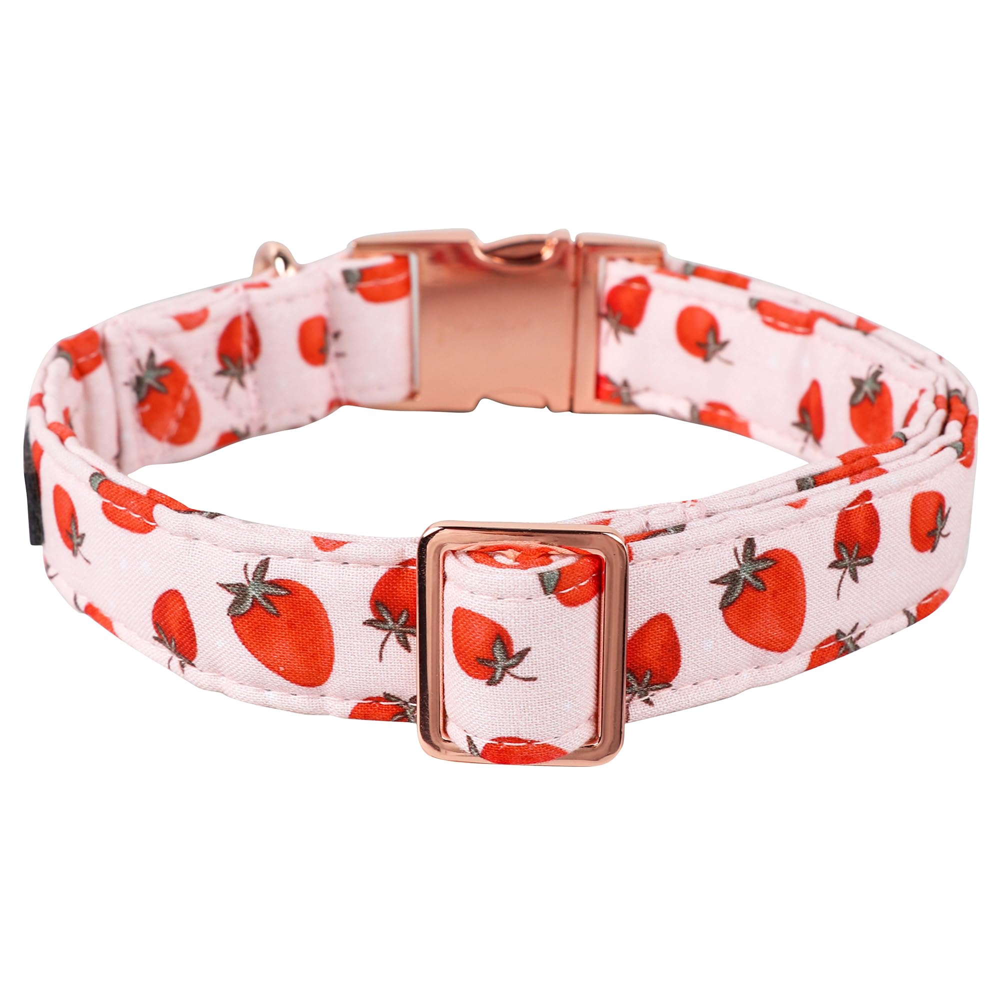 Lionet Paws Dog Collar, Comfortable Adjustable Cute Collar With Metal Buckle For Male Female Dogs, Strawberry Pattern, Xlarge, N