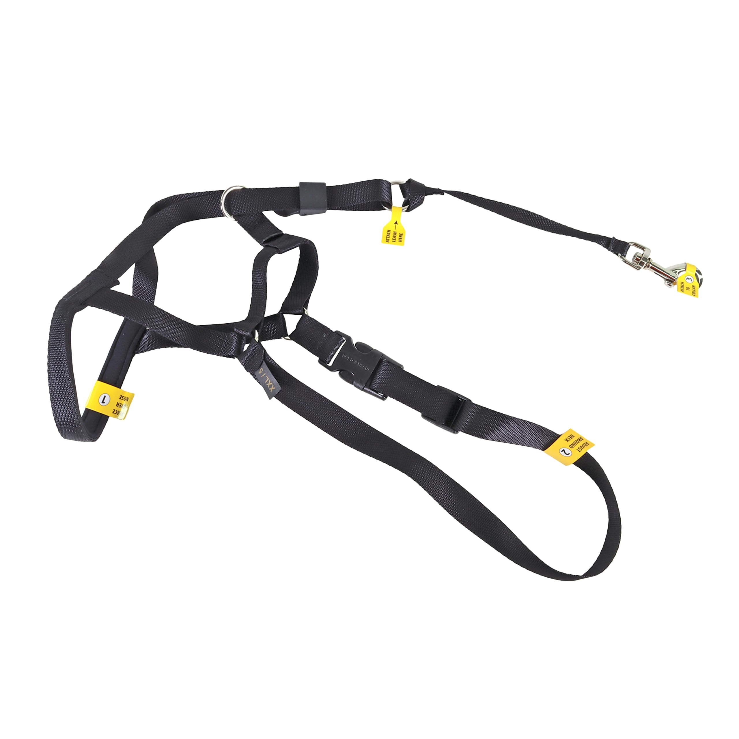 Coastal Pet Walk 'N Train Dog Head Halter - Head Colllar Dog Leader - No-Pull Pet Harness - Quick-Drying Polyester - Black - Medium