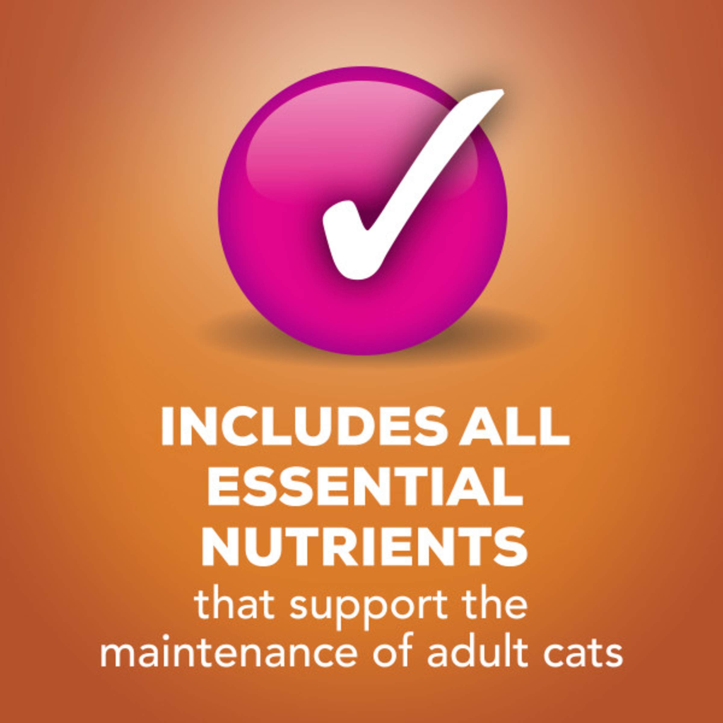 Purina Friskies Gravy Wet Cat Food Variety Pack, Prime Filets & Shreds Turkey & Chicken Favorites - (40) 5.5 oz. Cans
