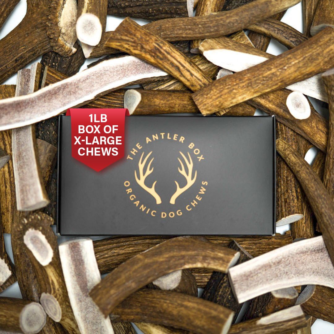 The Antler Box Premium Elk Antler Dog Chews (1 Pound Box) (X-Large (2 Pieces) Split Only)