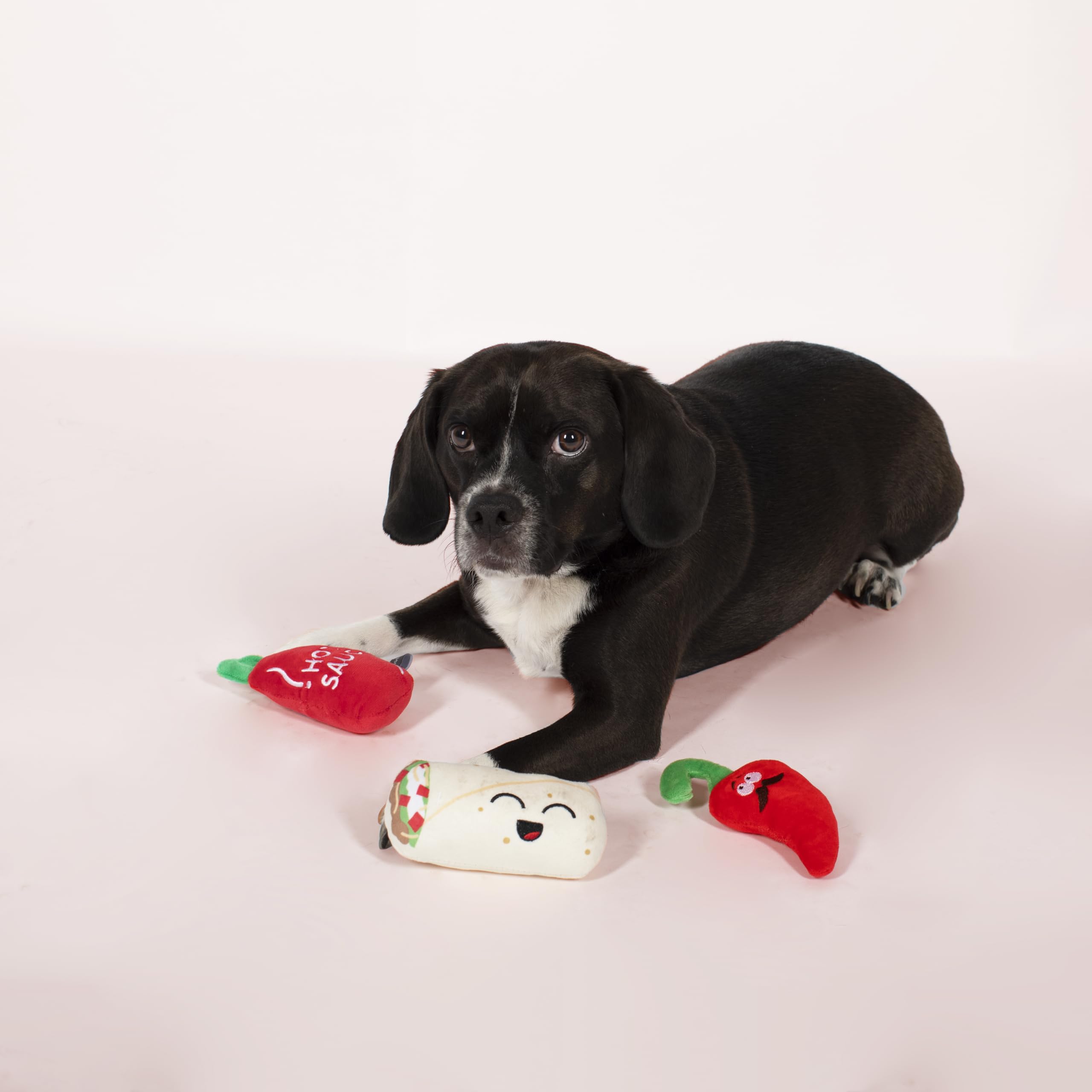 Fringe Studio Squeaker Pet Toy Set, Set of 3, Hot & Spicy (289435)
