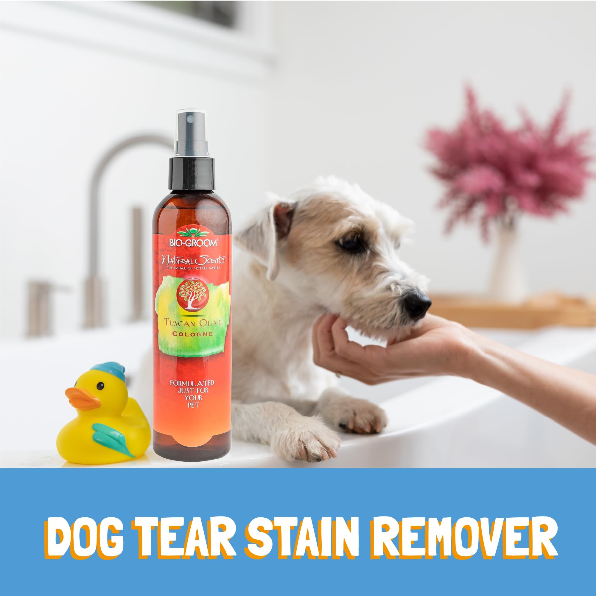 Bio-Groom Tuscan Olive Dog Shampoo - Natural Scent Pet Shampoo, Baobab Protein, Cat & Dog Bathing Supplies, Puppy Wash, Cruelty-