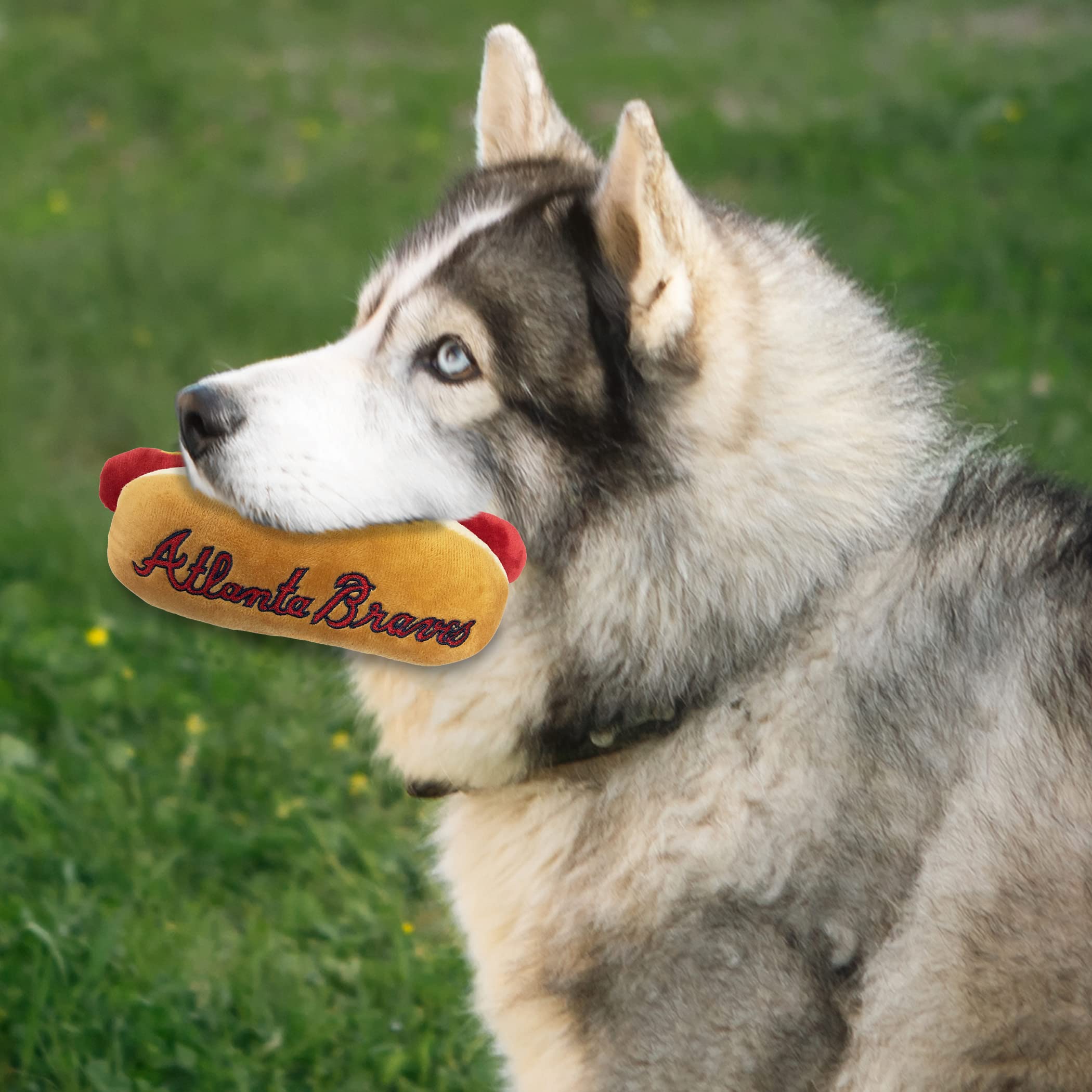 Mlb Atlanta Braves Plush Dog Toys - Stadium Theme Snacks - Cutest Plush Hot-Dog Toy For Dogs & Cats With Inner Squeaker & Premiu