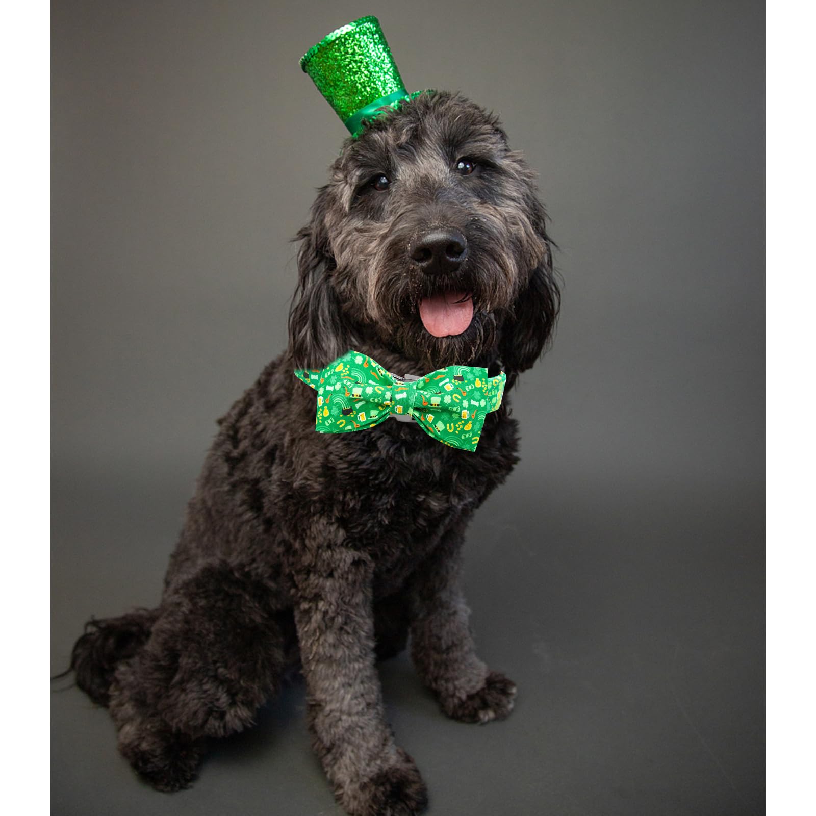 Lionheart Glory St. Patrick'S Day Dog Collar For X-Small Dogs - Adjustable Green With Lucky Clover Shamrock And Bowtie
