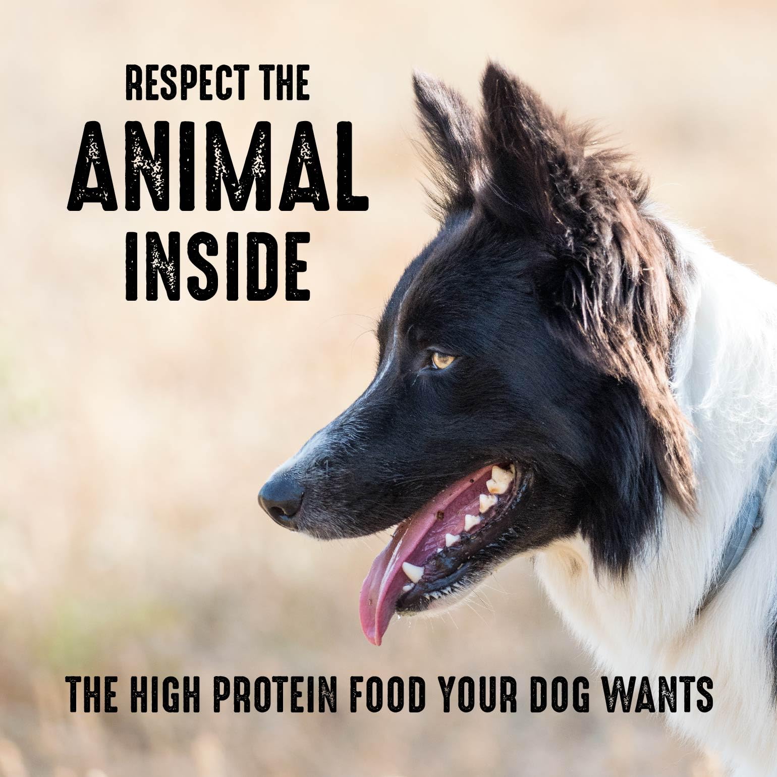 CRAVE Grain Free High Protein Adult Dry Dog Food, Chicken, 12 lb. Bag