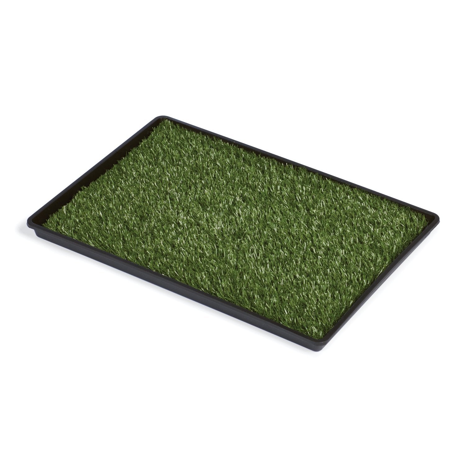 Prevue Hendryx Tinkle Turf - Large,Green