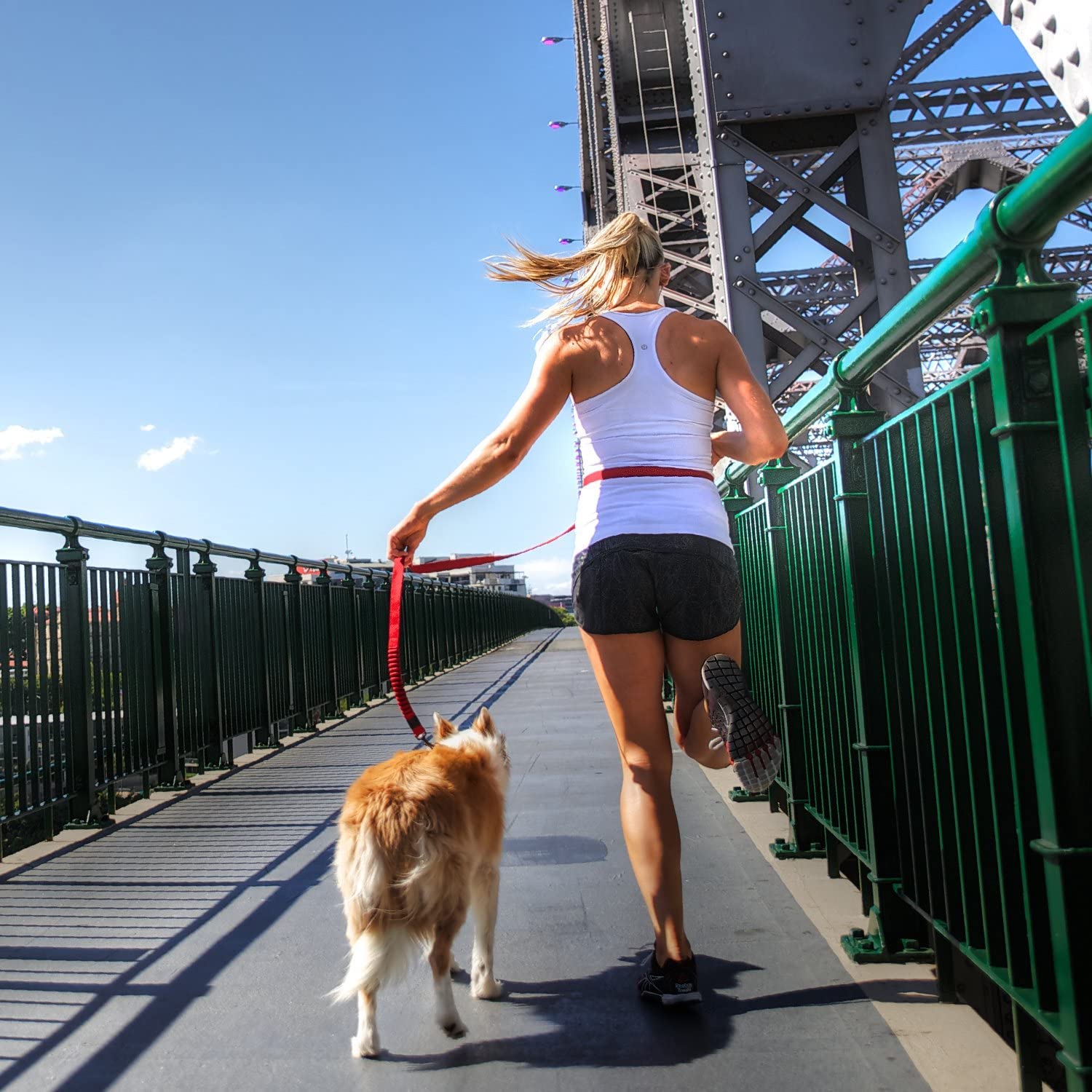 Ezydog Road Running Best Hands-Free Walking, Jogging, And Running Zero Shock Bungee Dog Leash - Reflective Stitching And Adjustable Waist Belt - Provides Superior Comfort, Safety, Control (Red)
