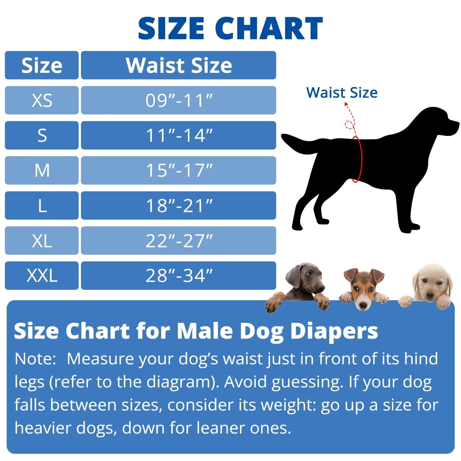 Paw Legend Washable Male Dog Diapers - Large, Star Pattern, Reusable, Waterproof, 3 Pack (Model: PL-GG-XX-L-1)