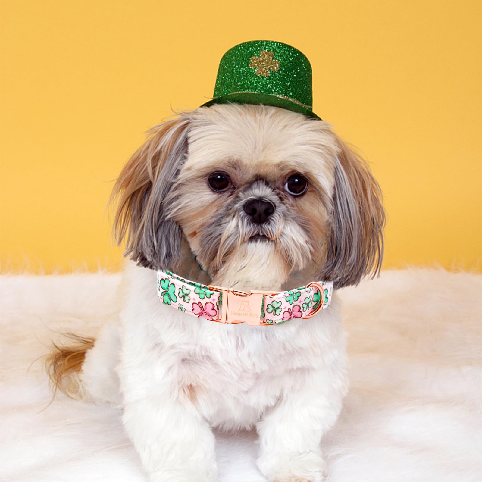 Lionheart Glory St. Patrick Dog Collar, Clover Pink Collar For Medium Dogs Spring Female Dog Collars Adjustable Heavy-Duty Dog C
