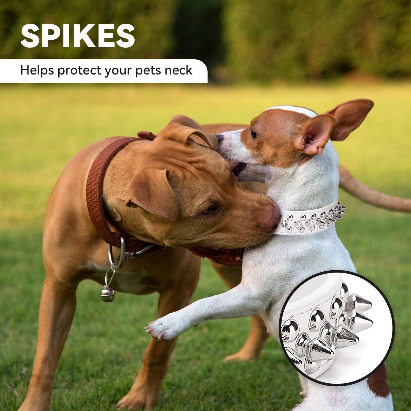Doggyzstyle Small Spiked Dog Cat Collar For Small Medium Dogs Boy Male Female - Adjustable Studded Puppy Collars - Soft Padded P