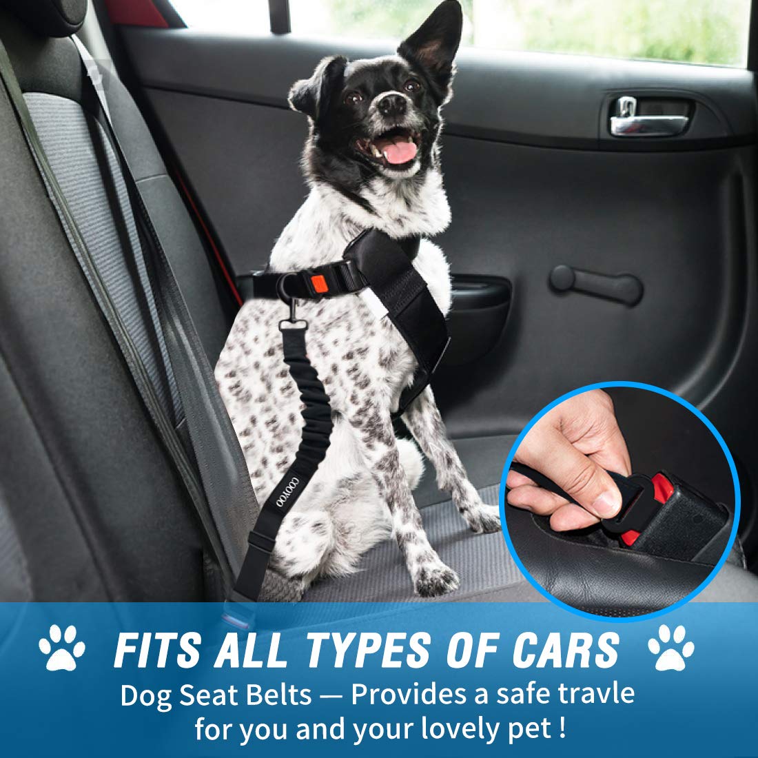 Cooyoo 3 Piece Set Retractable Dog Car Adjustable Pet Seat Belt For Vehicle Nylon Pet Safety Seat Belts Heavy Duty & Elastic & D