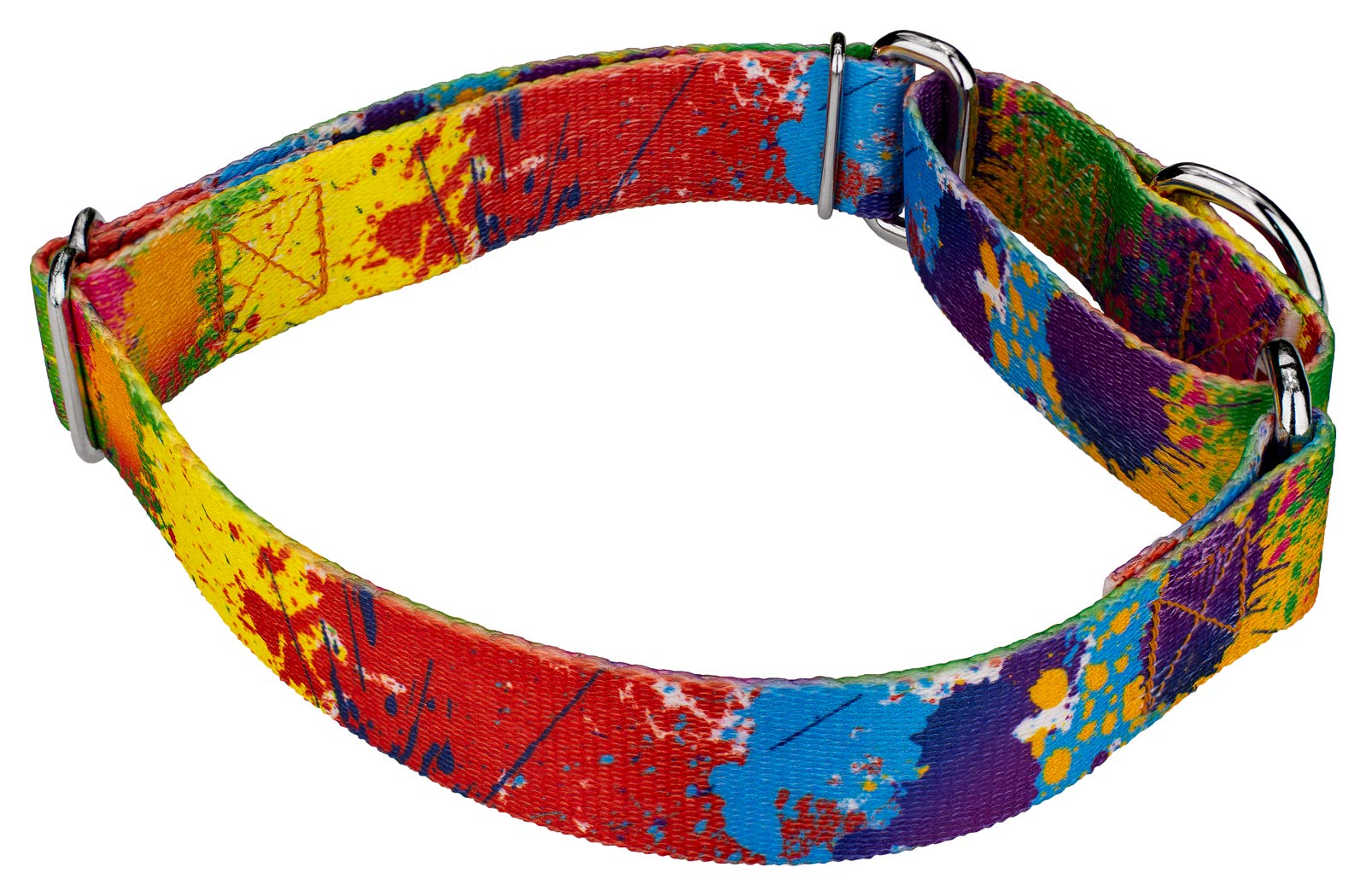Country Brook Petz - Paint Splatter Martingale Dog Collar - Groovy Collection Featuring Far Out Designs (1 Inch, Extra Large)