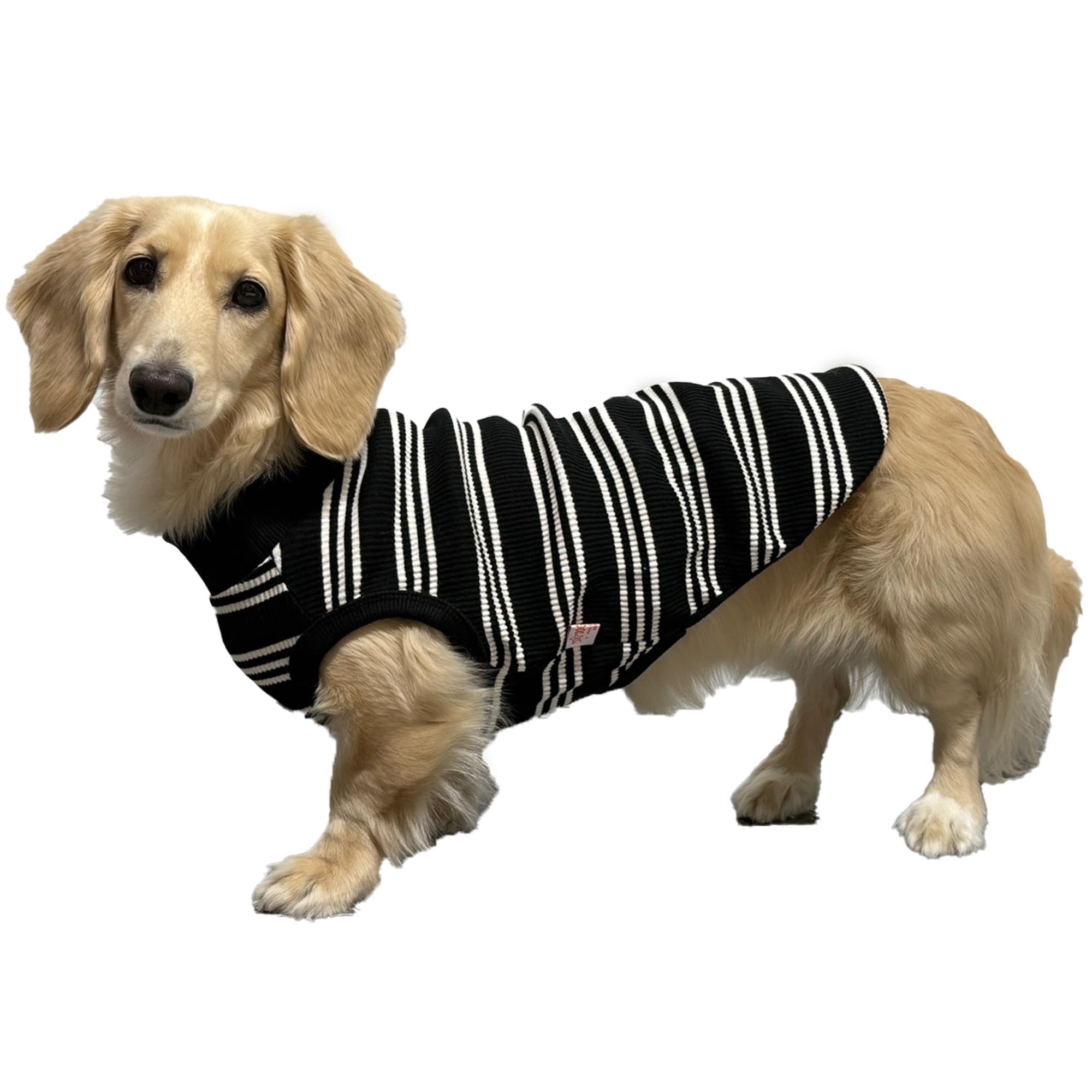 D Doggy Star Dachshund Clothes For Dogs Mini And Adults T Shirts (Xl,Ivory Stripe)