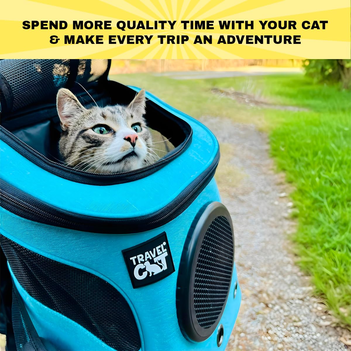 The Fat Cat Aqua Backpack Carrier - Airline Approved Cat Carrier with Space Capsule Bubble for Small Cats and Kittens